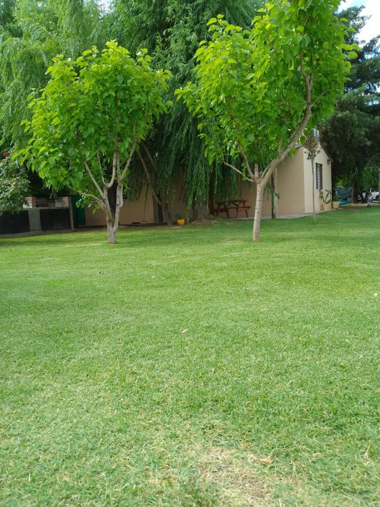Cabañas La Soñada - San Rafael