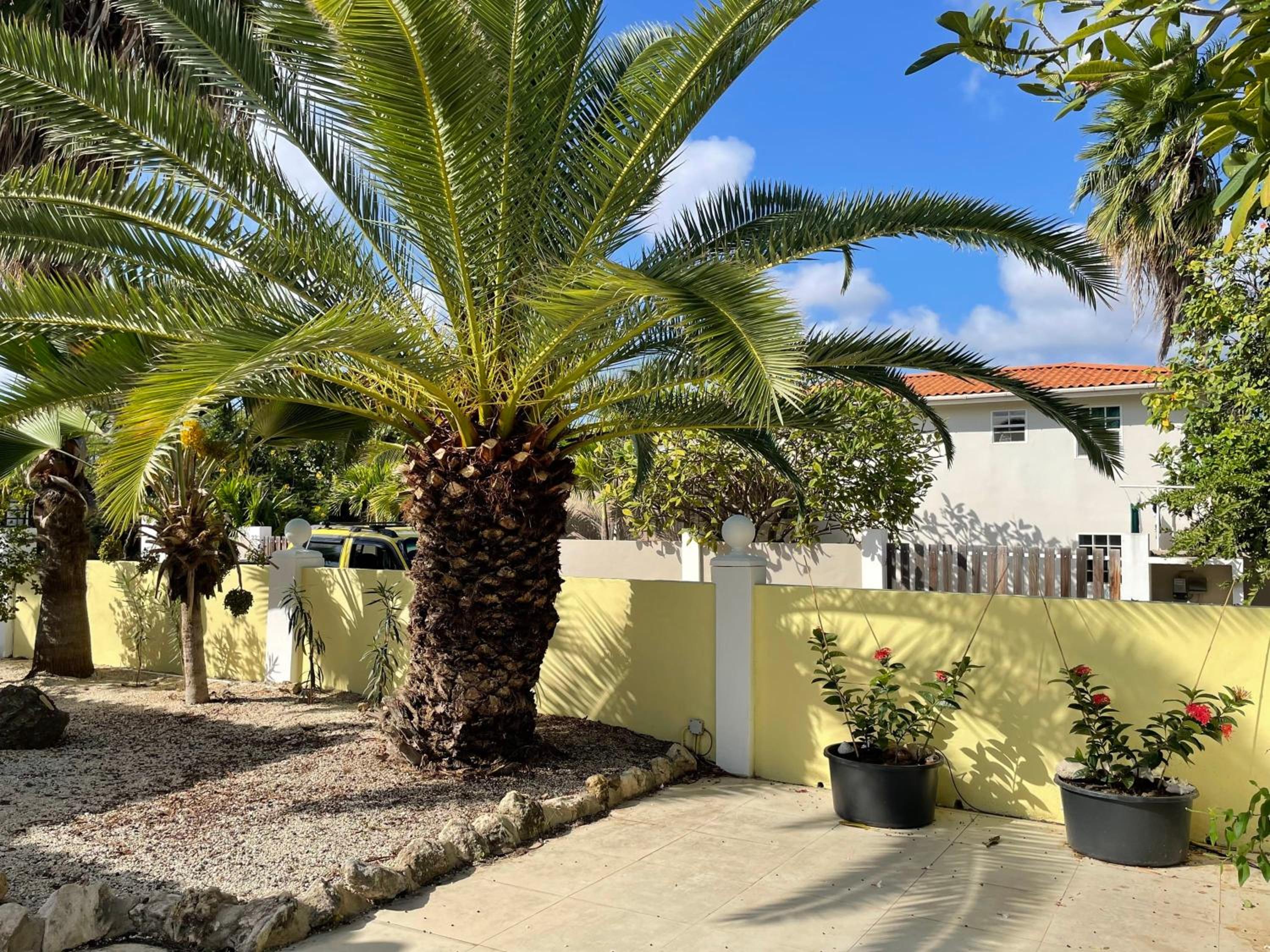 21 Villa Chuchubi