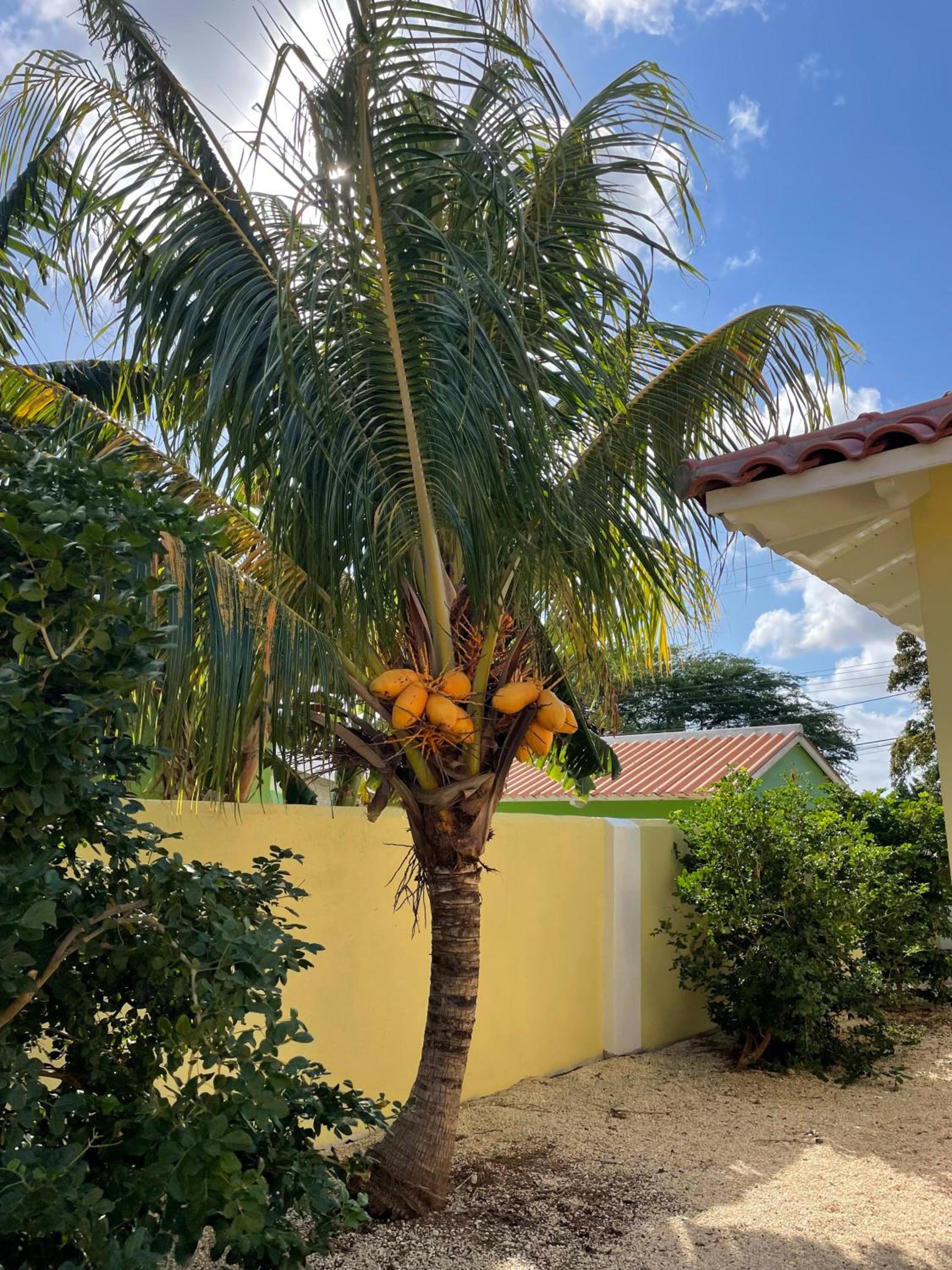 21 Villa Chuchubi