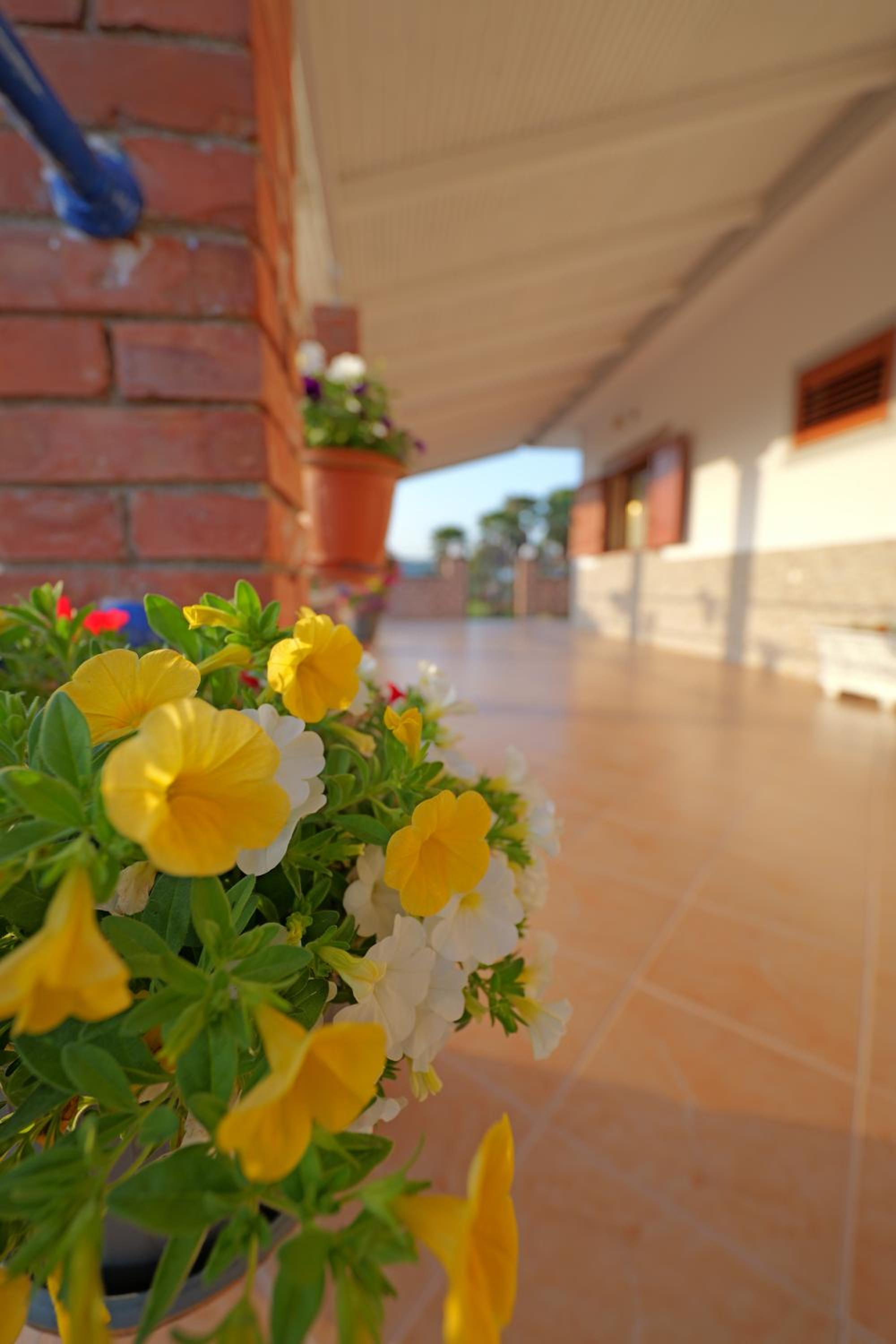 Green Villa Shendelli