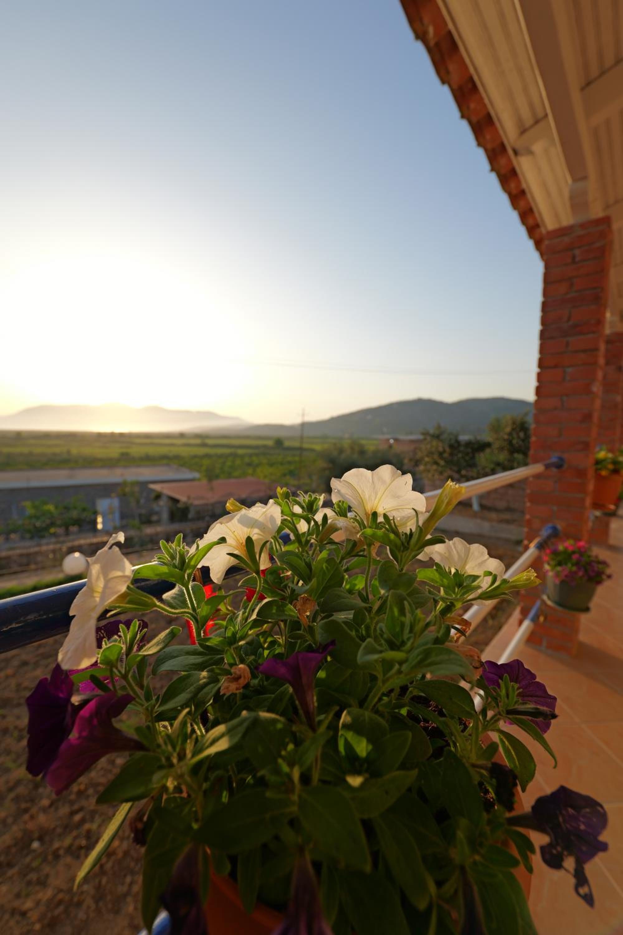 Green Villa Shendelli