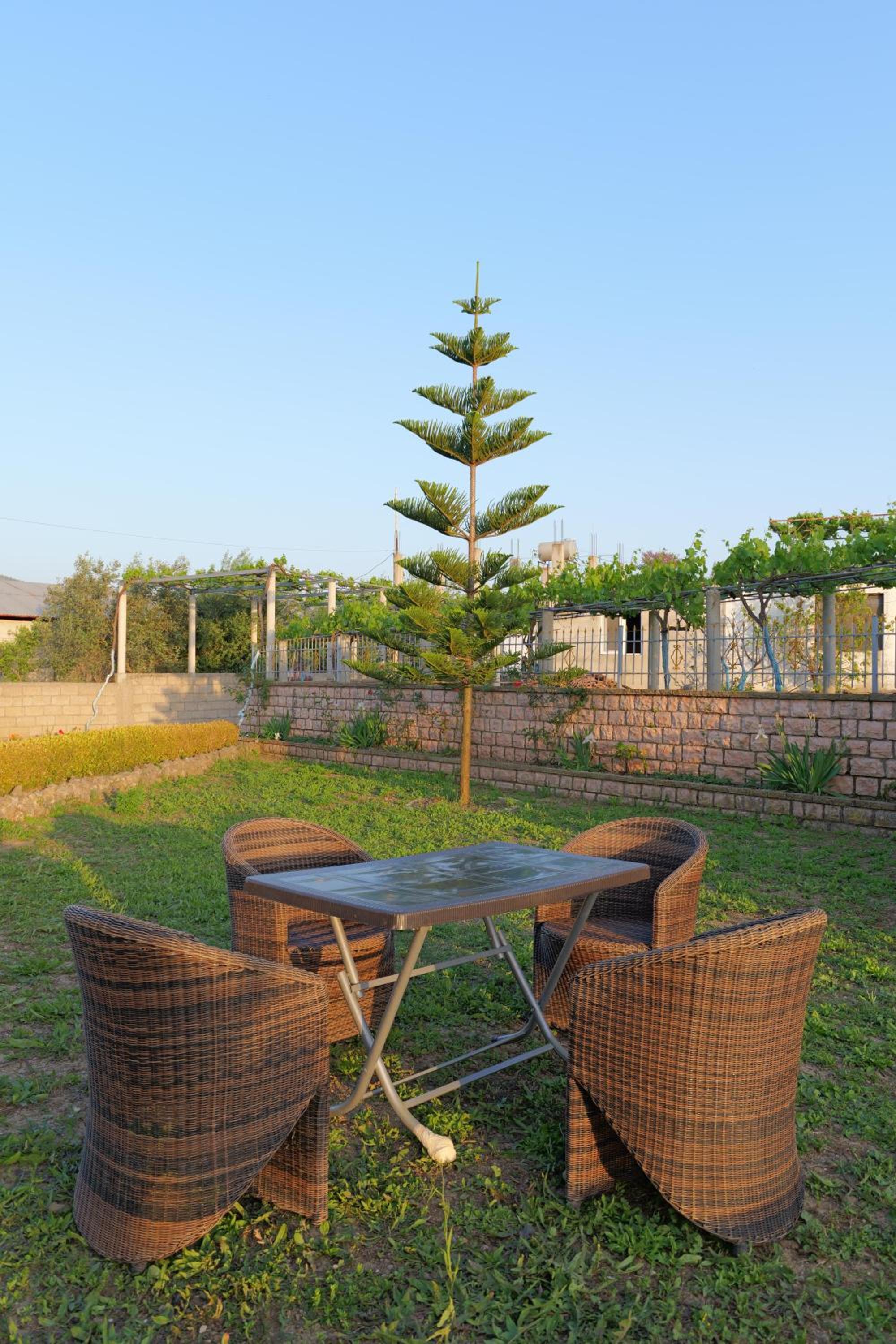 Green Villa Shendelli