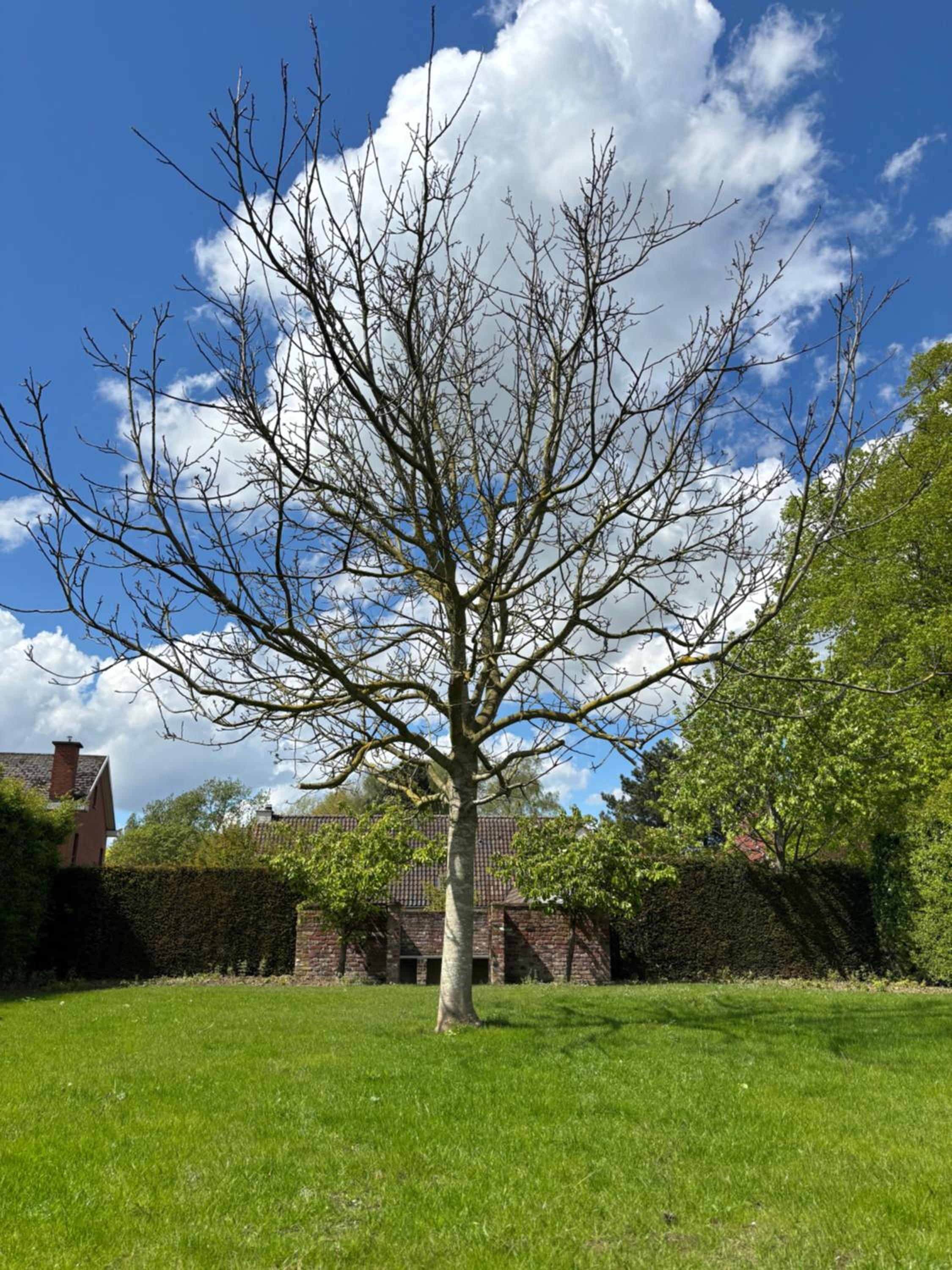 't Urbain - Vakantiewoning