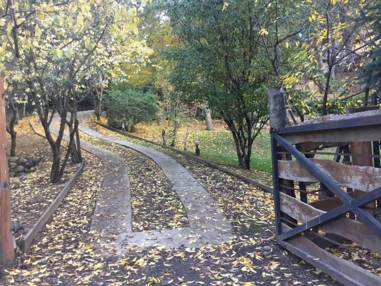 Cabaña rodeada de bosque nativo para 12 c parrilla