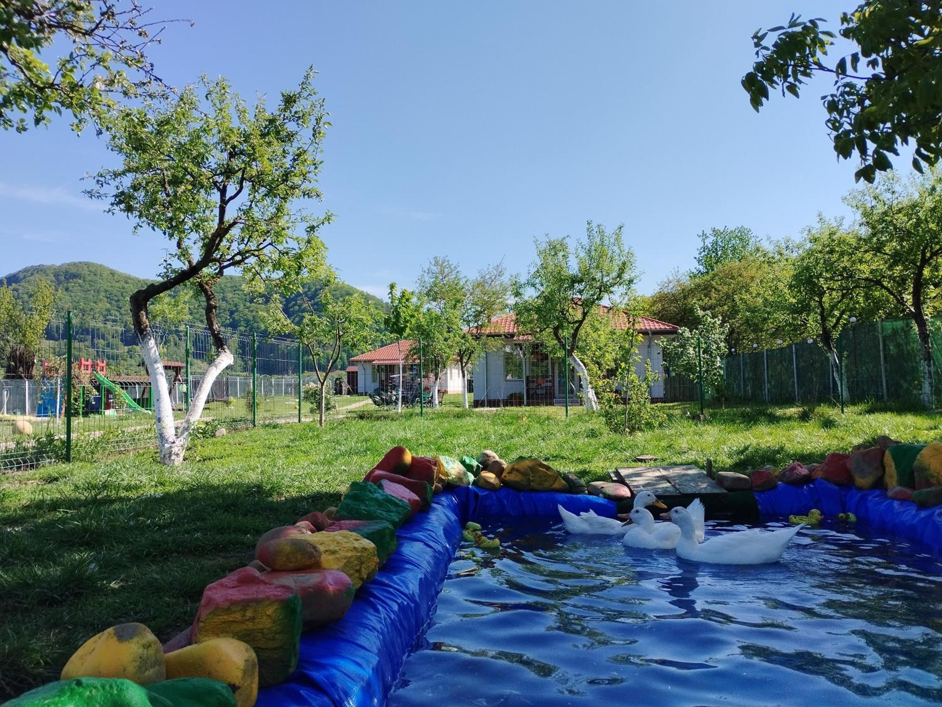 activities & amenities