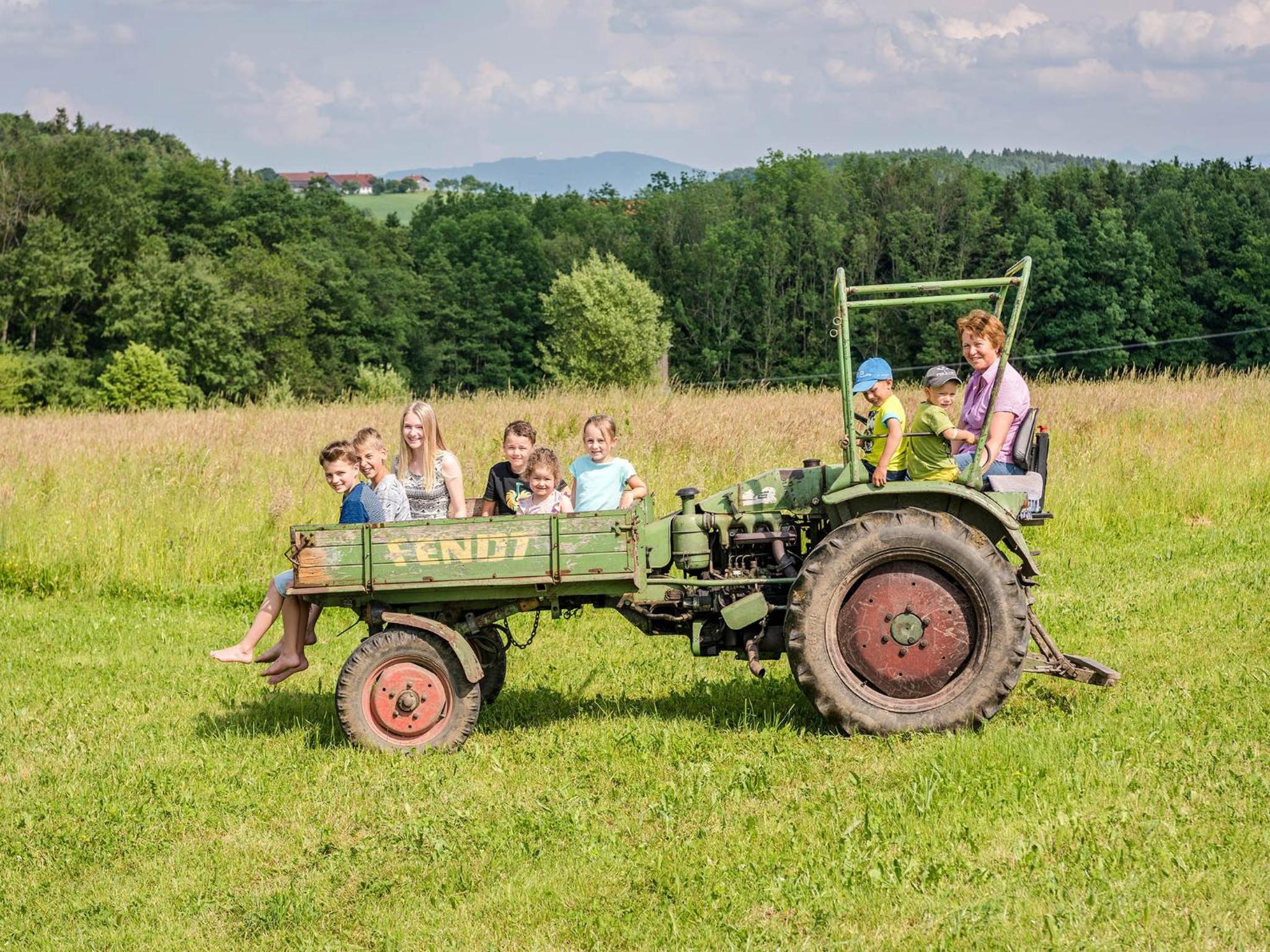 Panoramahof Stief