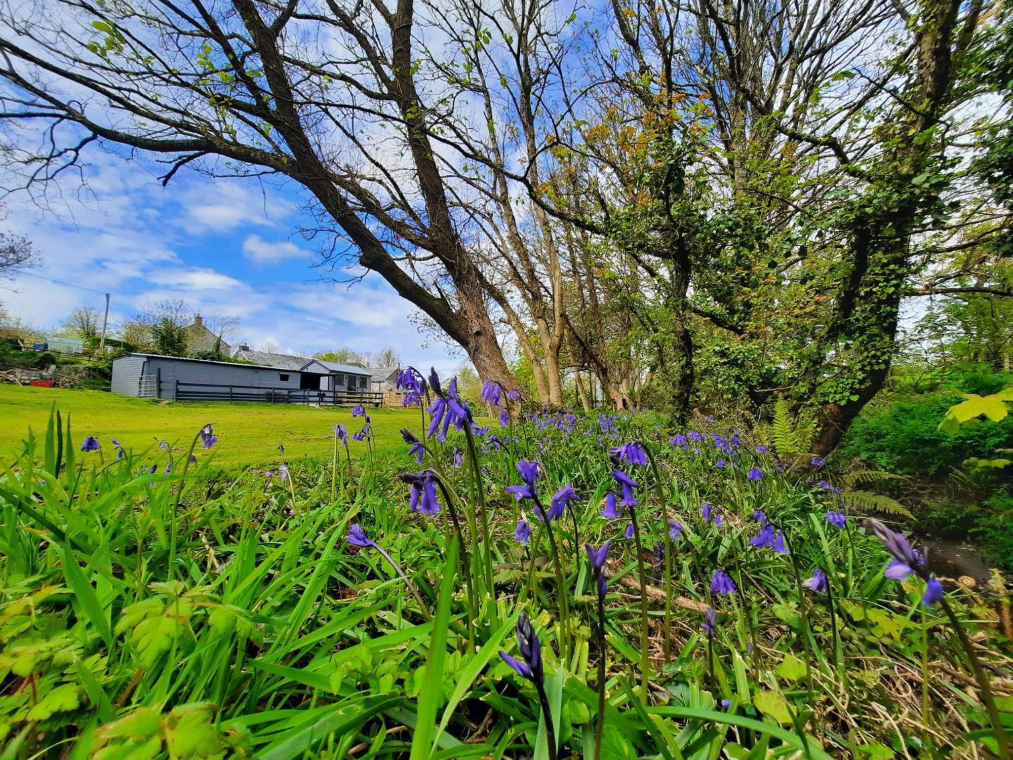 Beautiful Cabin near Padstow view 2