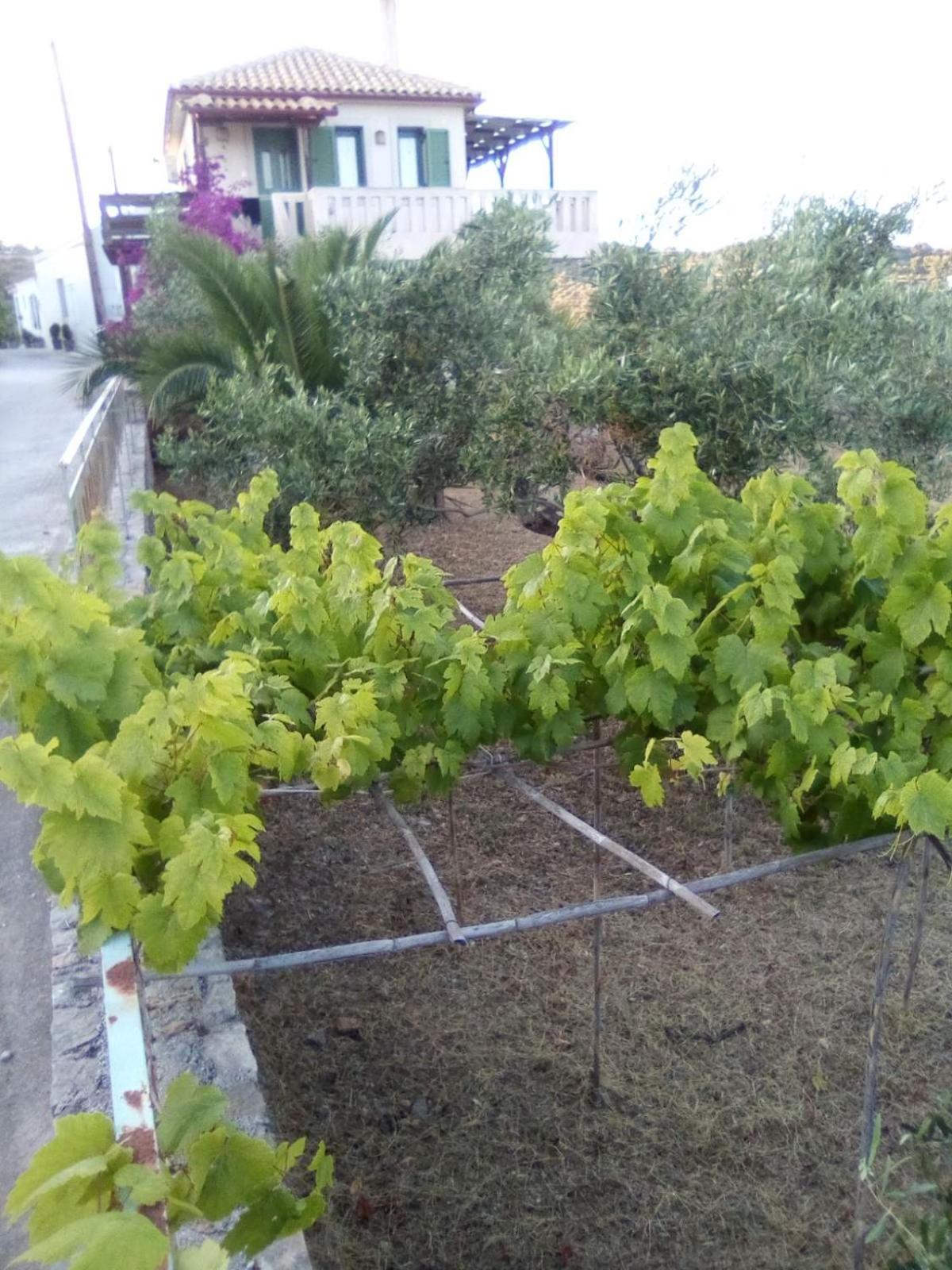 Photo 46