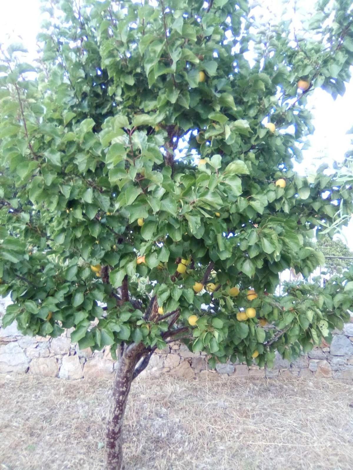 Photo 49