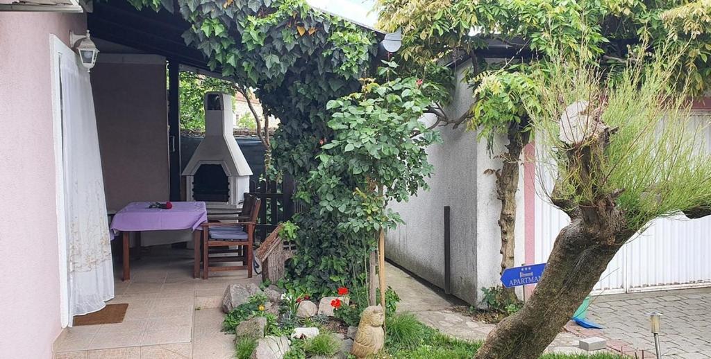 Apartman Ksenija view 3