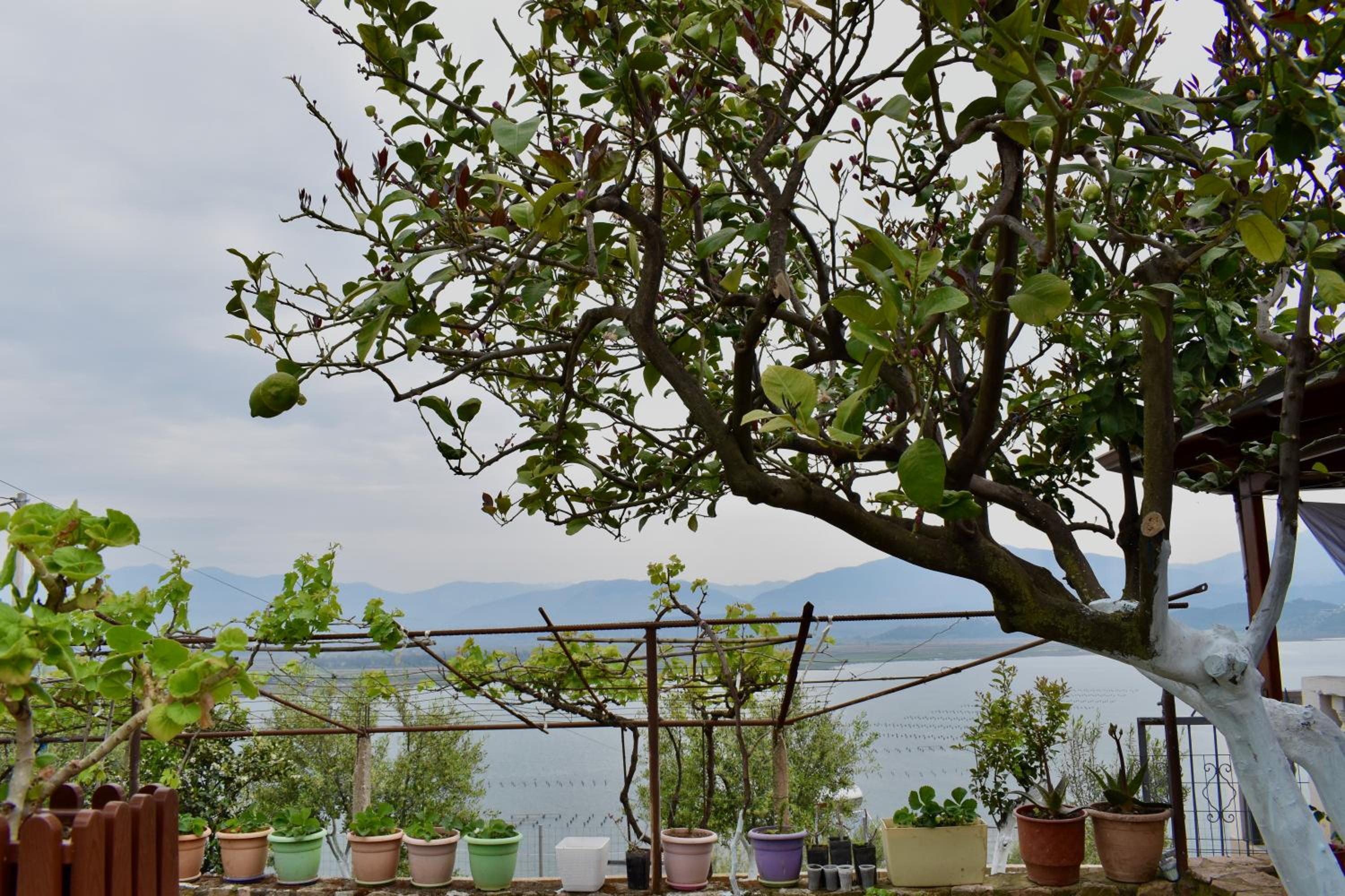 Ksamil Sea&Lake view Escape