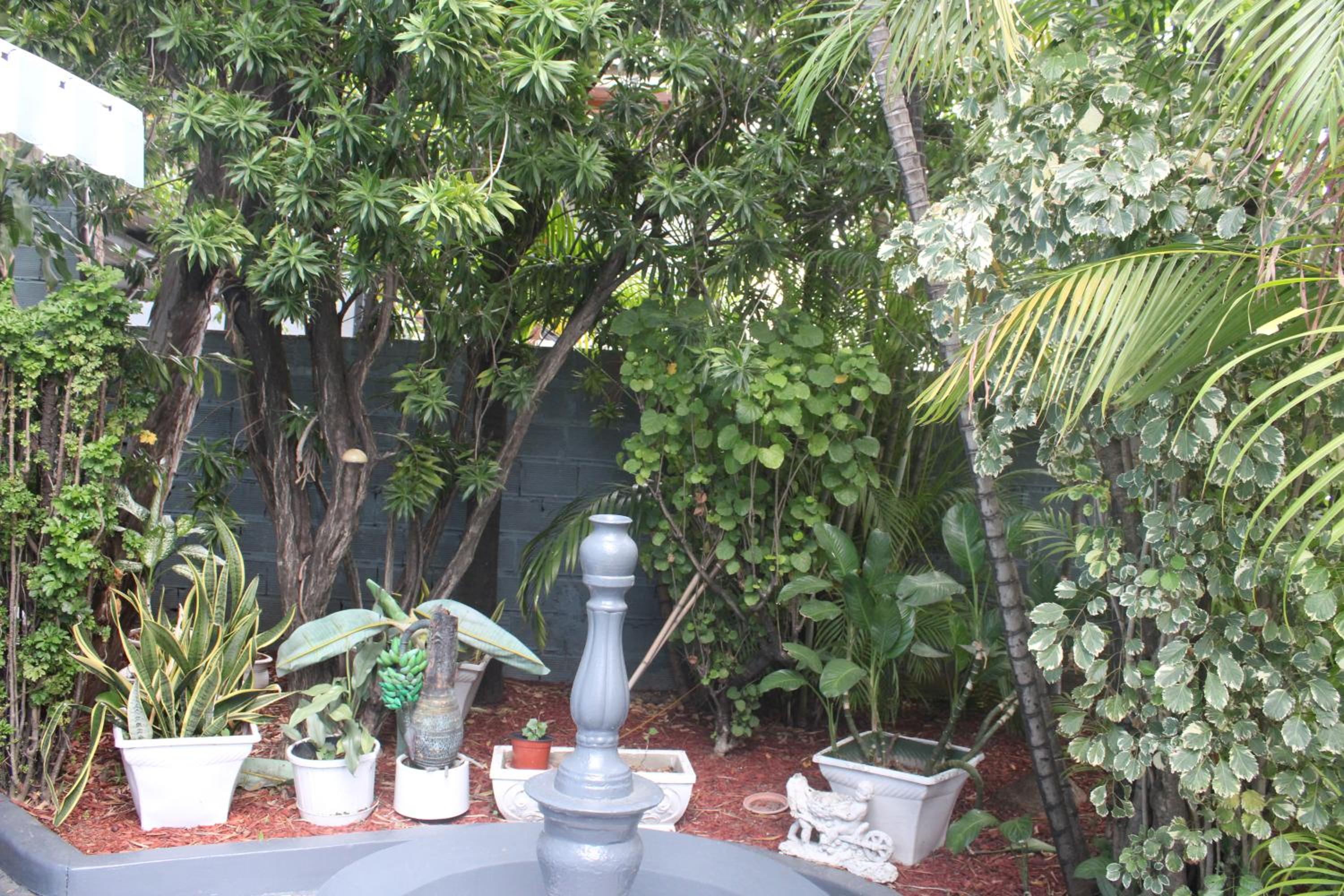 Caribbean Tourist Villa