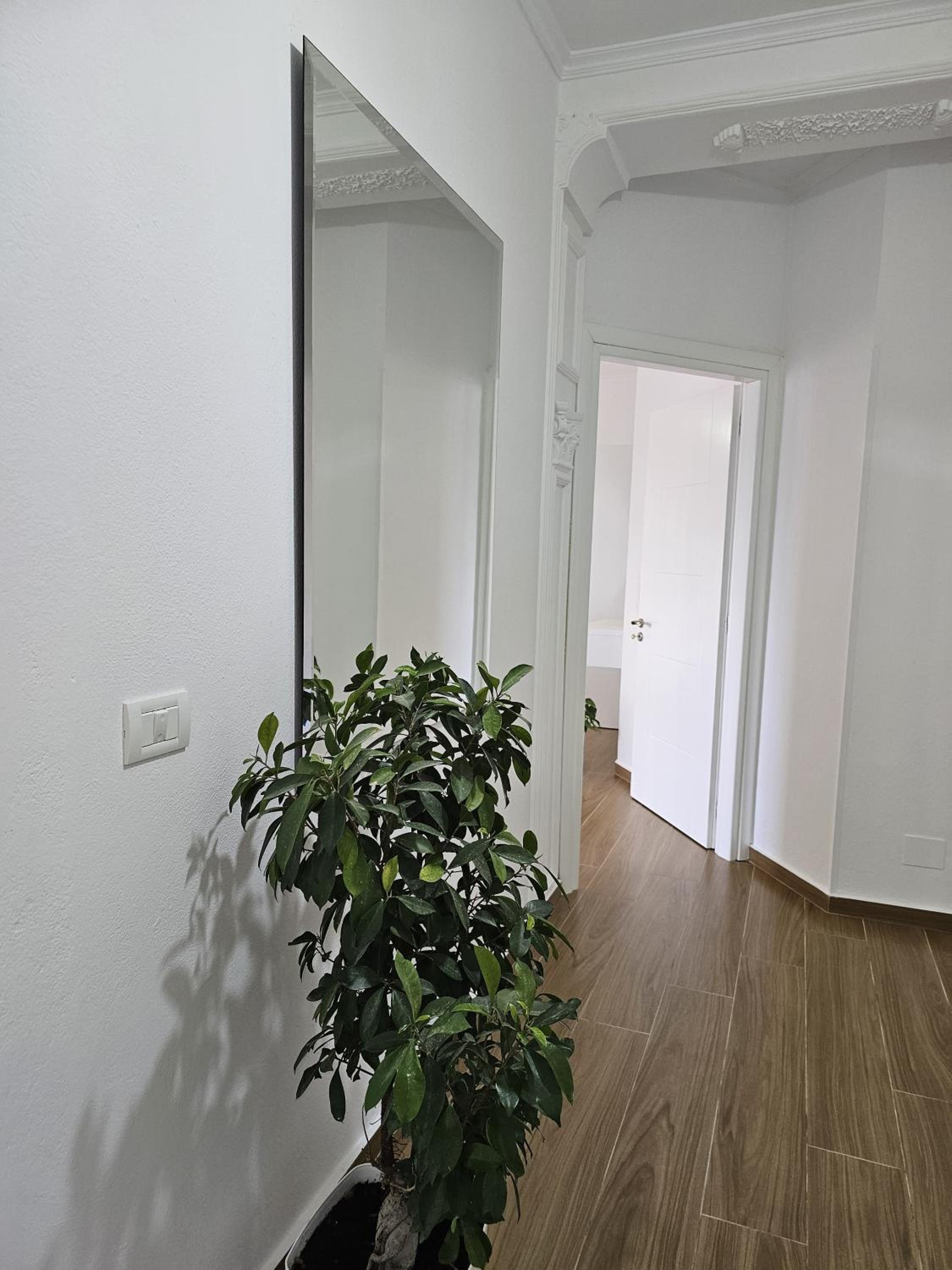Sava's House