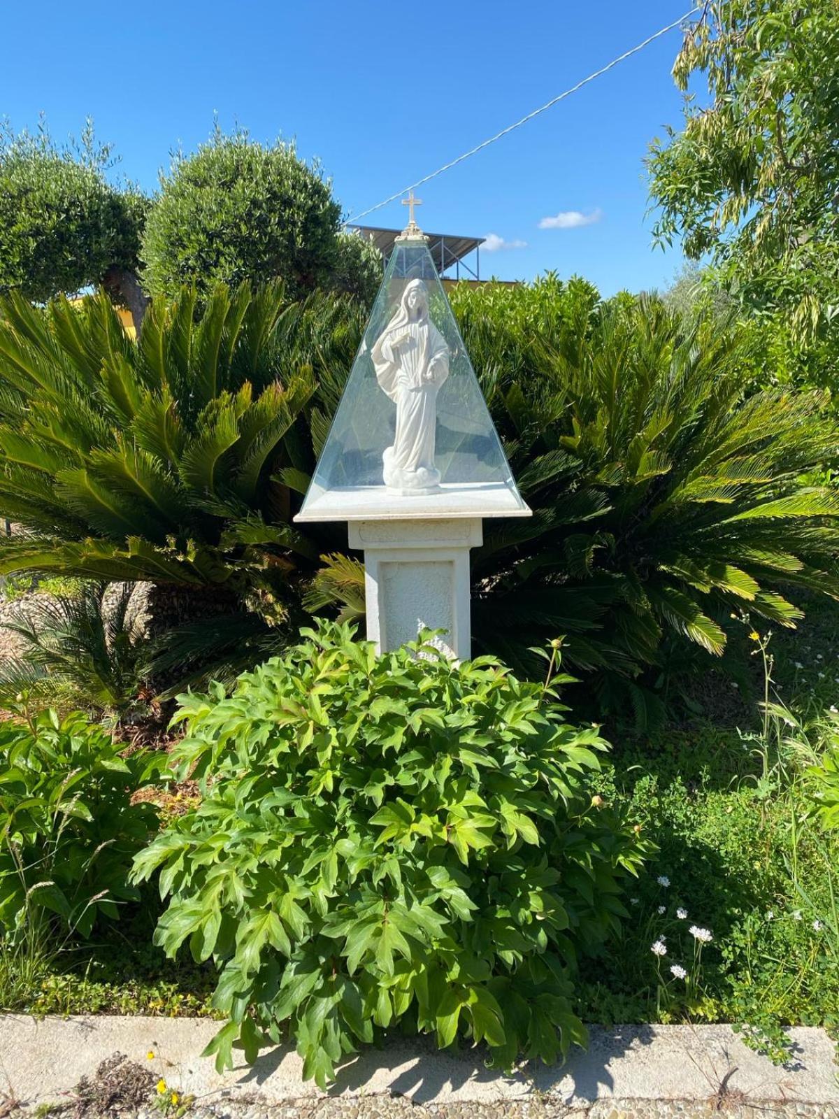 Photo 26