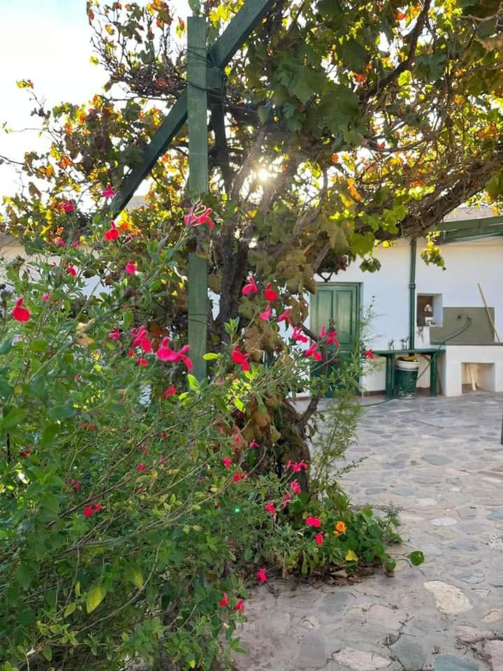 Villa Nanin