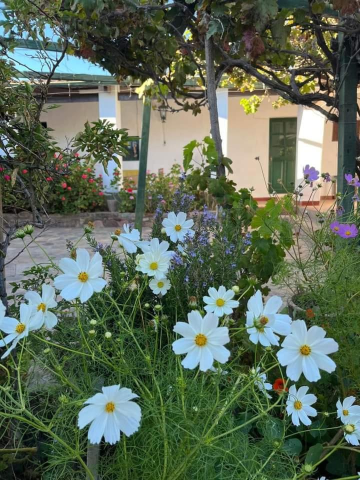 Villa Nanin