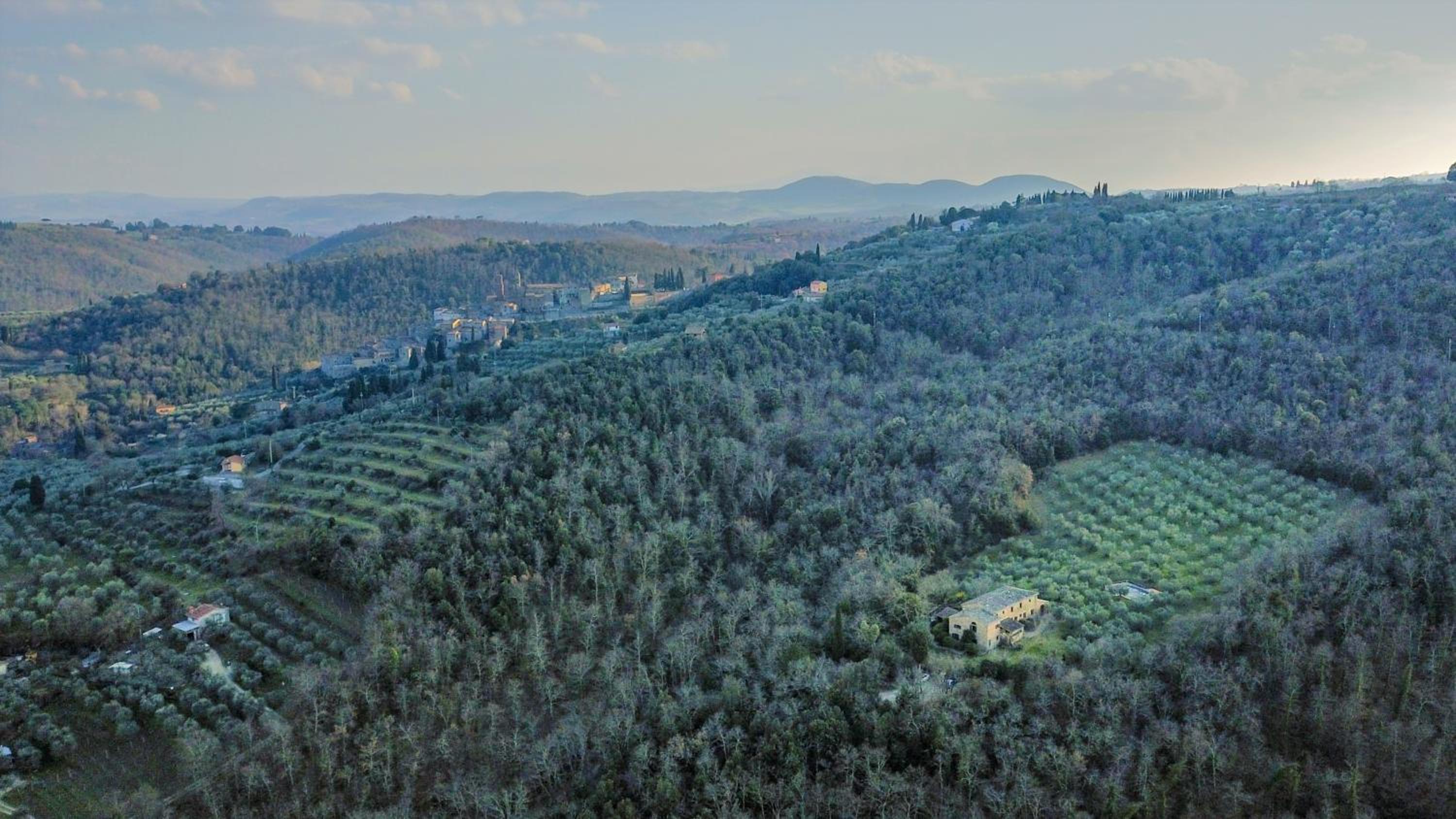Podere Mencoini, stylish villa with private pool and olive garden