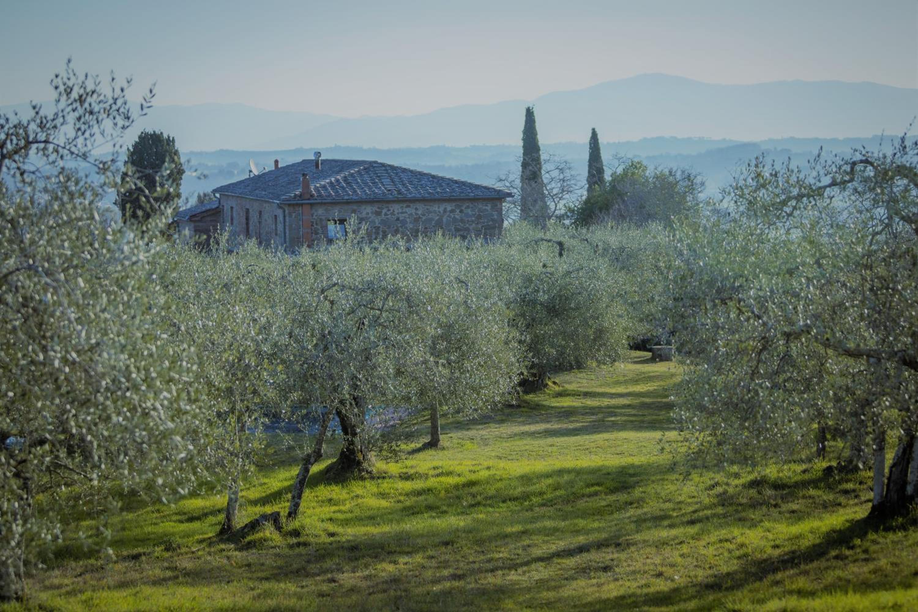 Podere Mencoini, stylish villa with private pool and olive garden