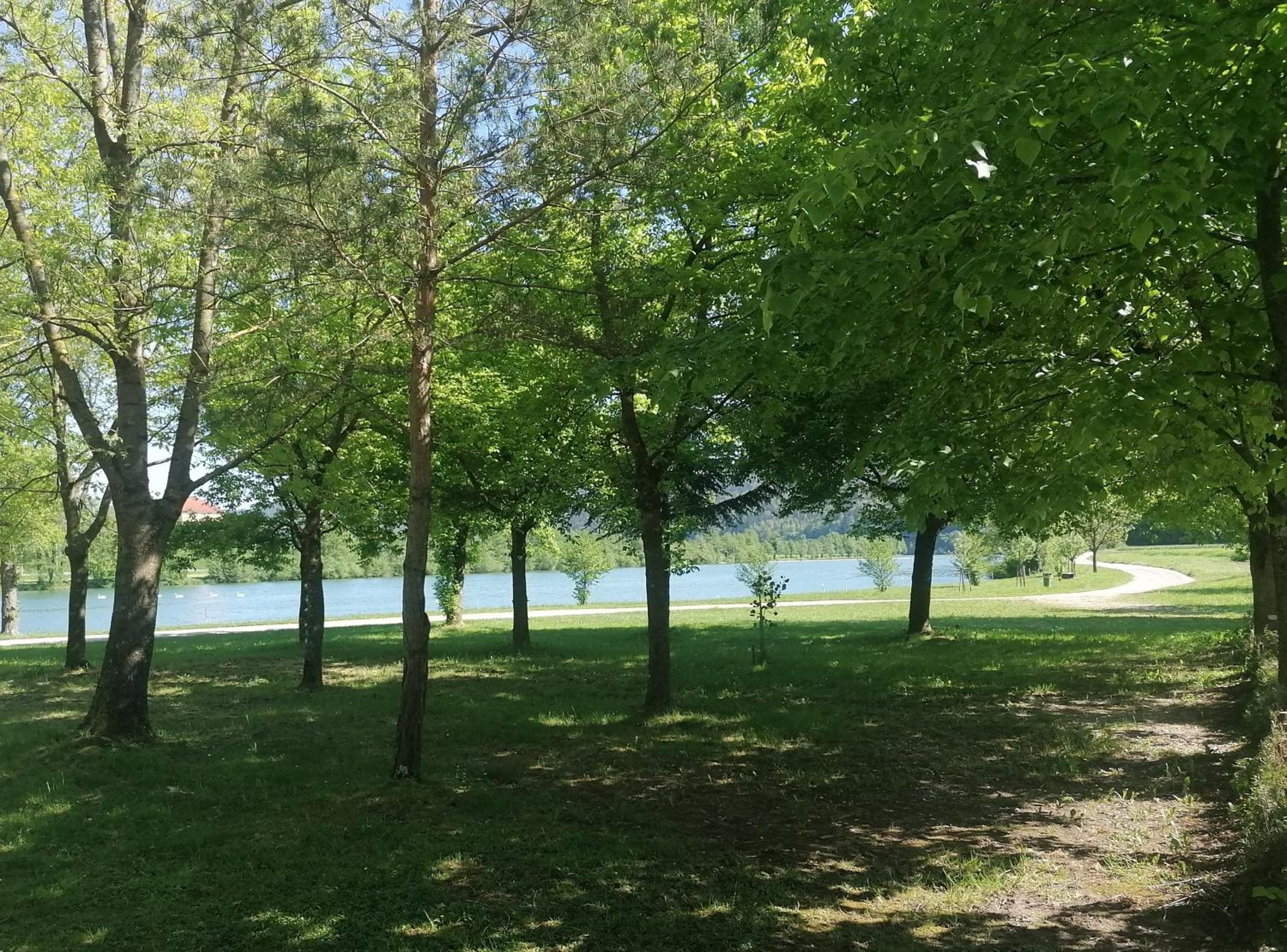 Ribiški dom Radeče view 3