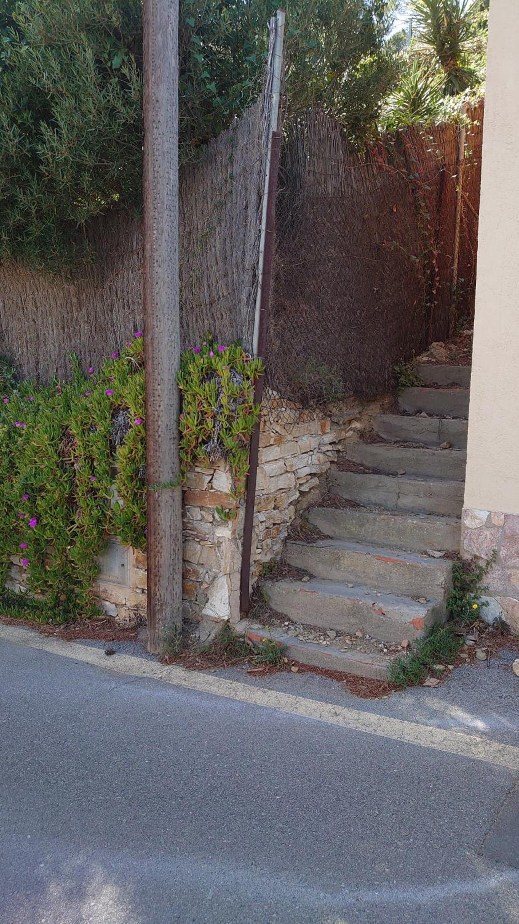 Photo 37