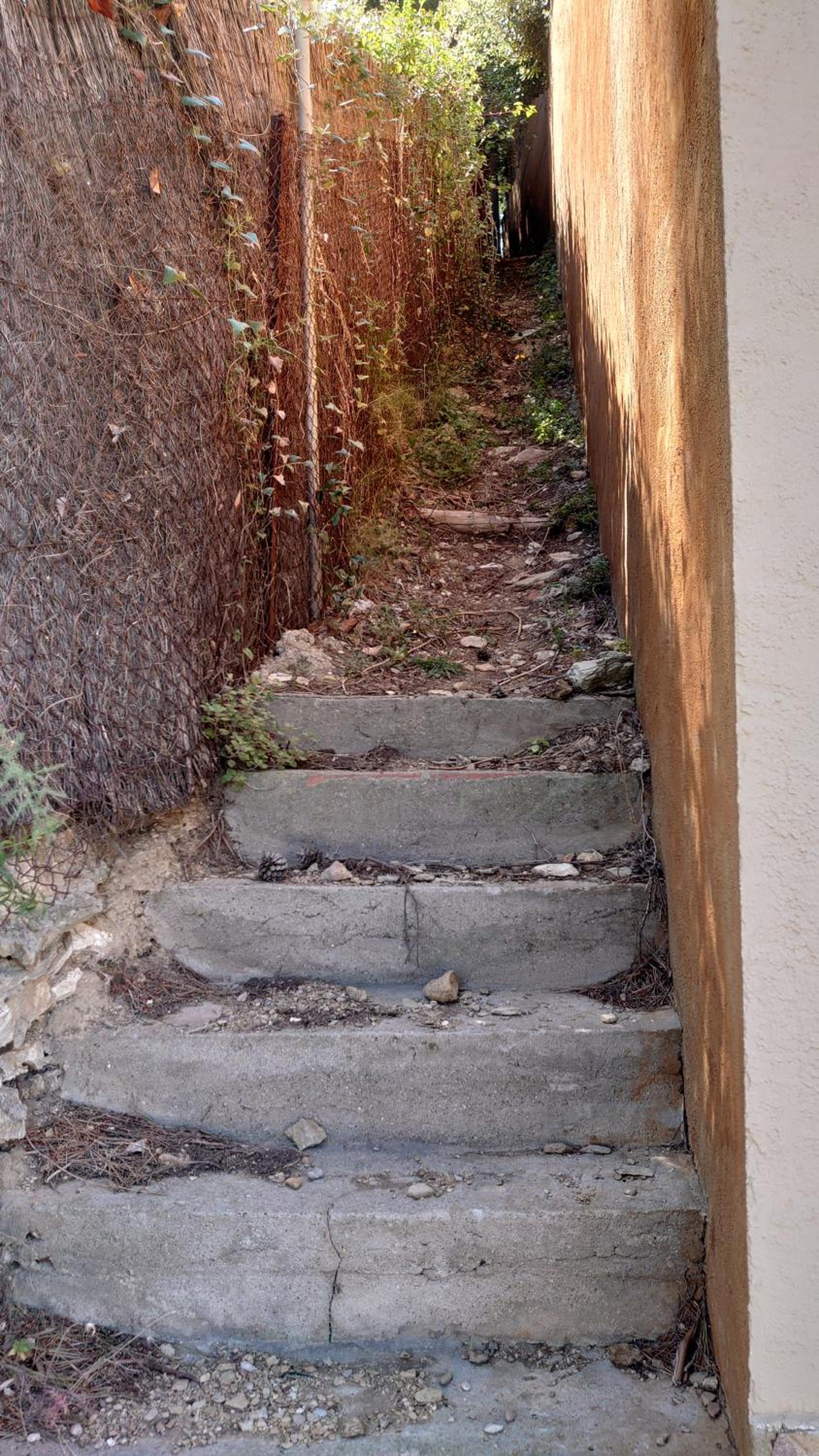 Photo 43