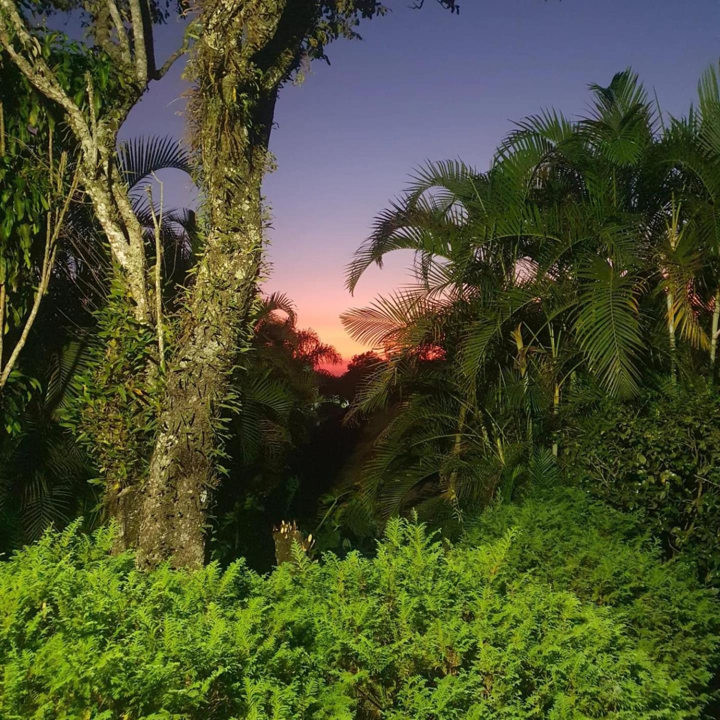 Sitio Garden