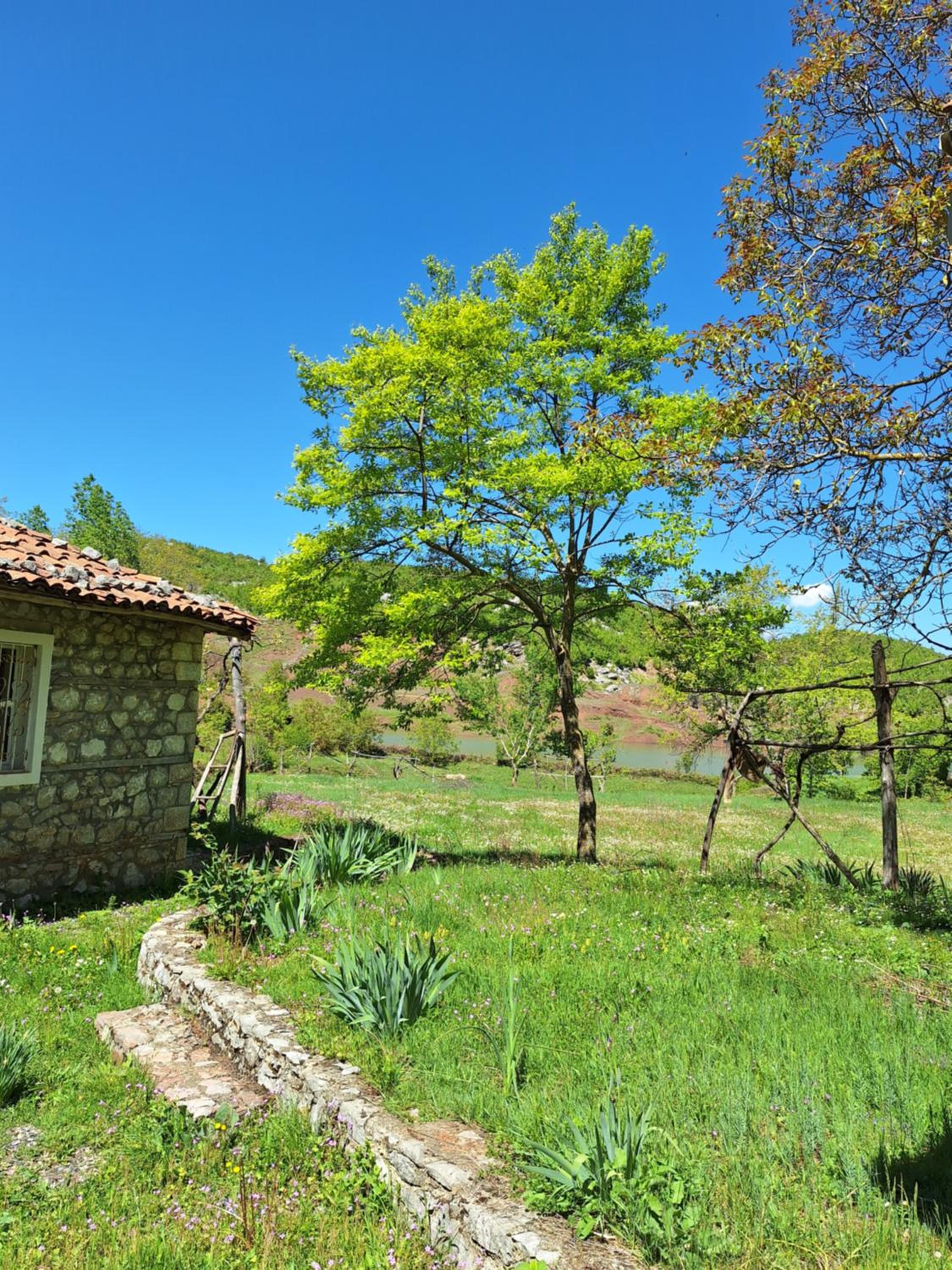 Revita Stone House