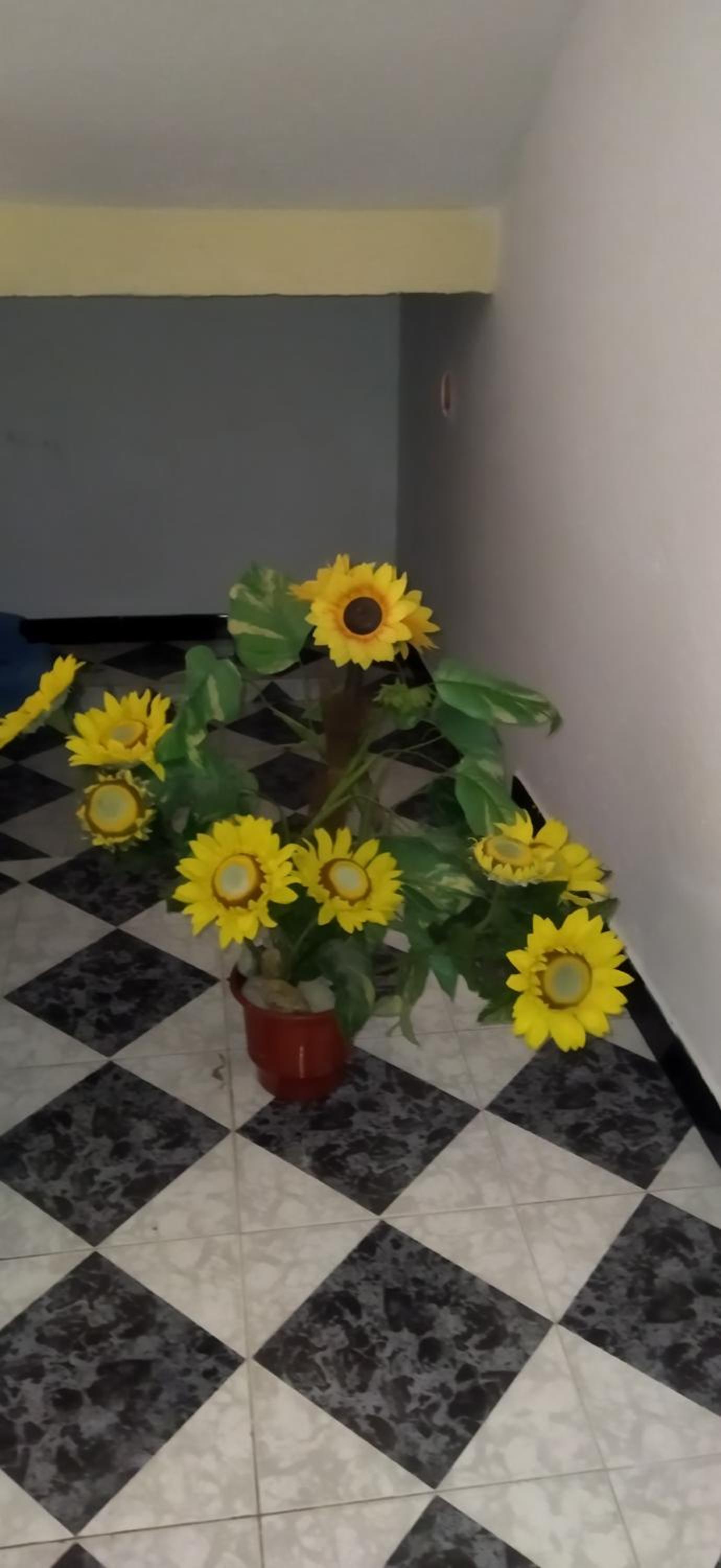 New Apartament