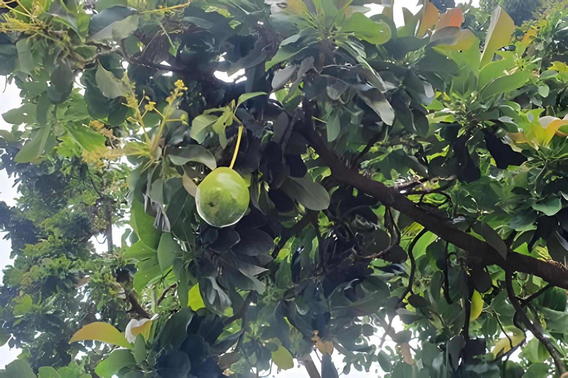 other