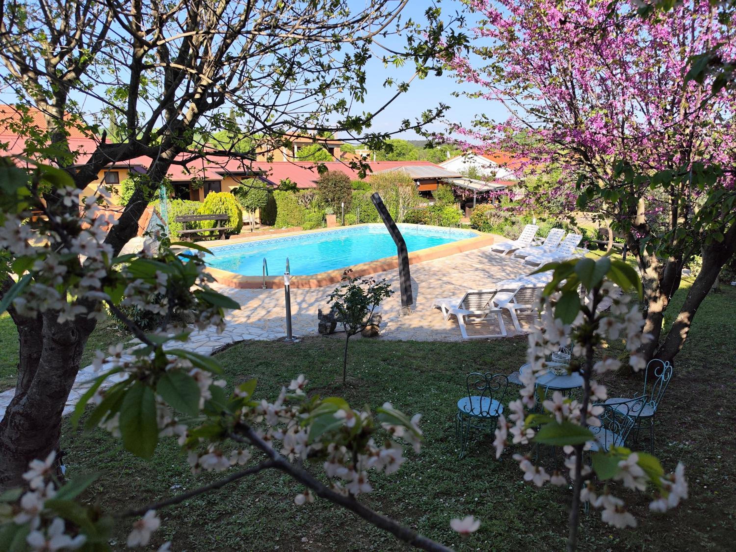 Romantic Studio for two with a pool view 3