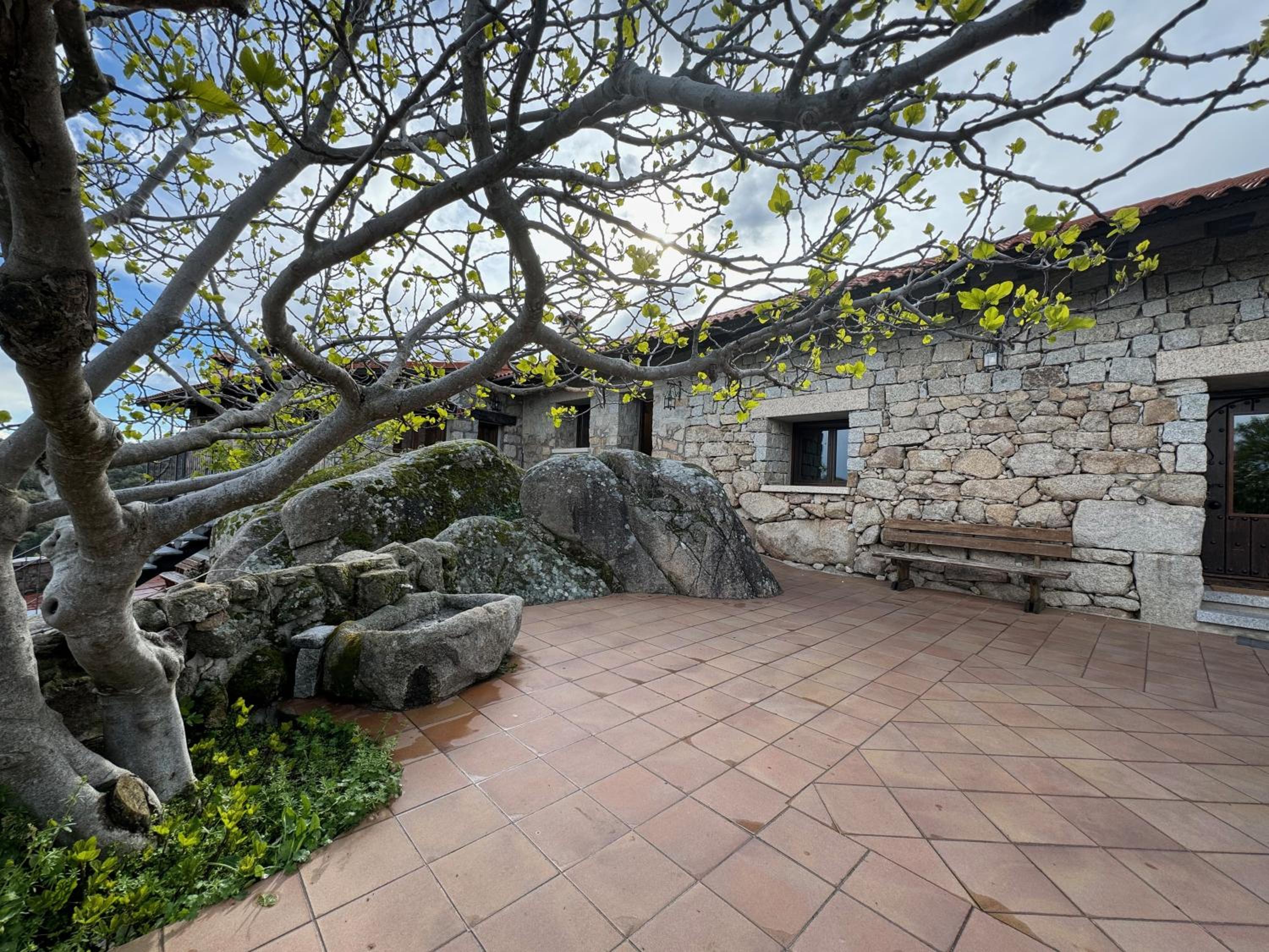 Finca el Olivo de Fresnedillas