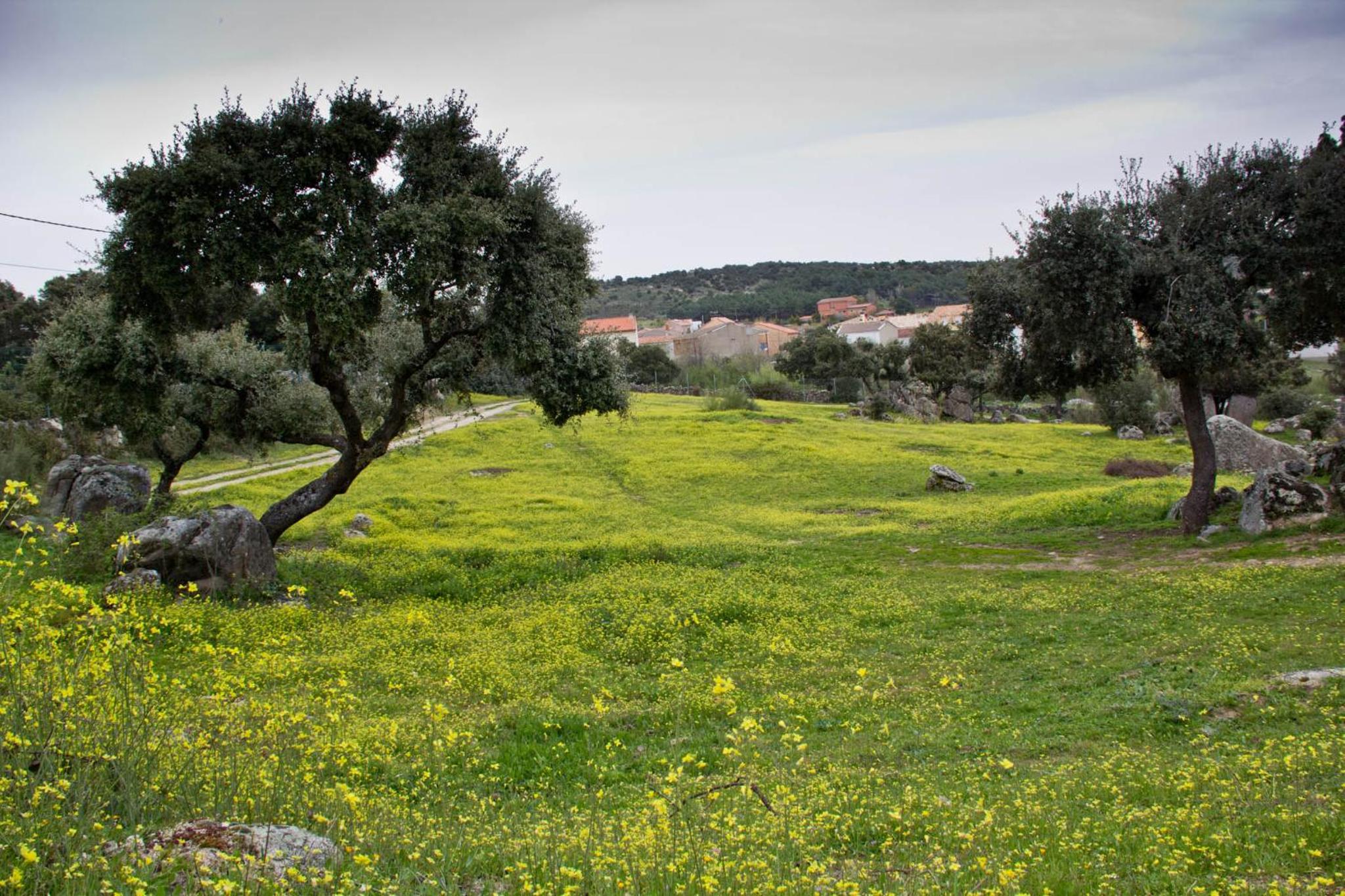 Finca el Olivo de Fresnedillas