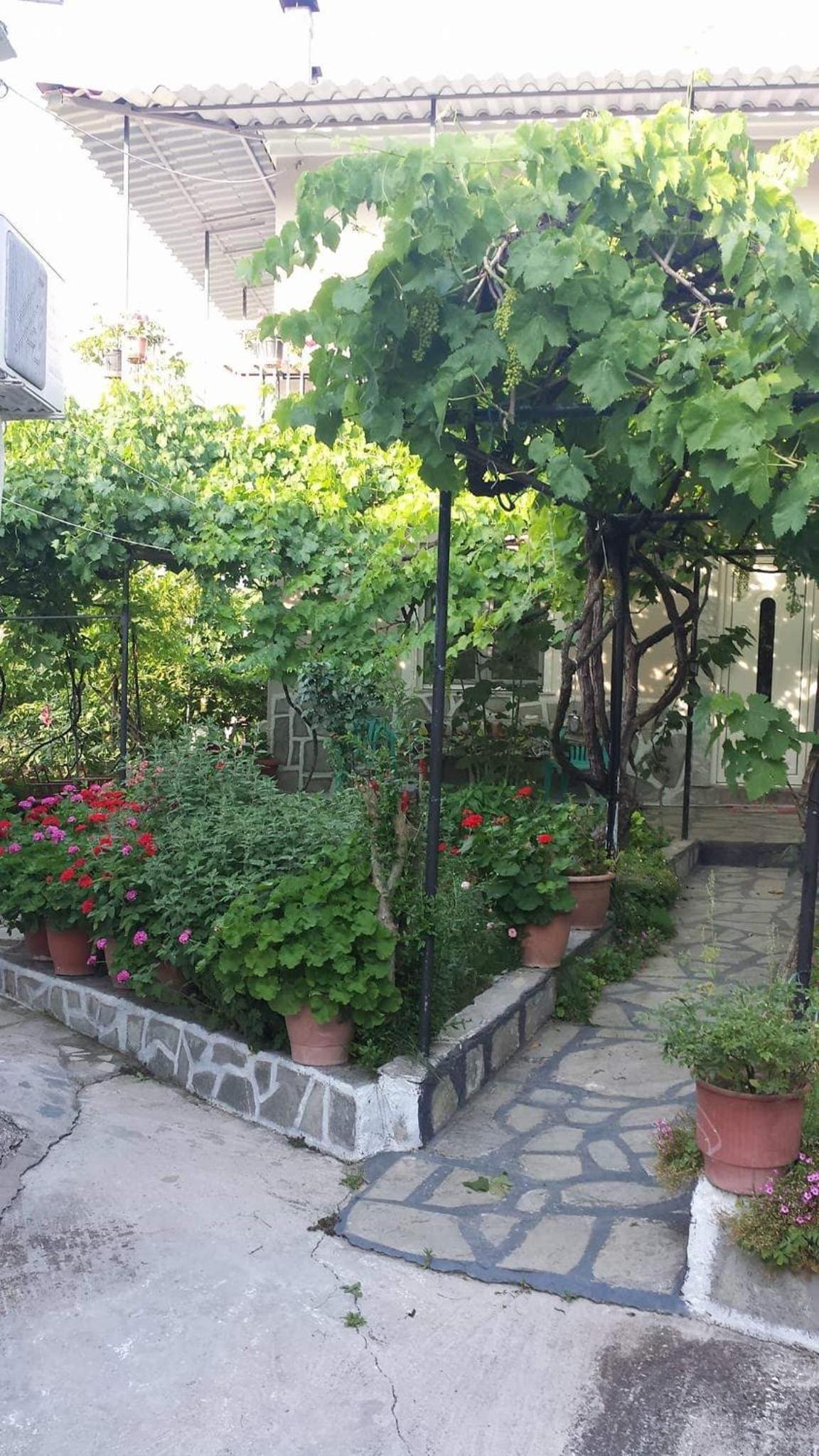 Photo 19