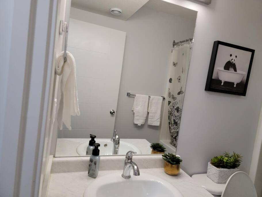 Exquisite Guest suite in Saskatoon