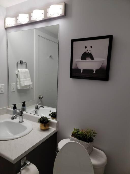 Exquisite Guest suite in Saskatoon