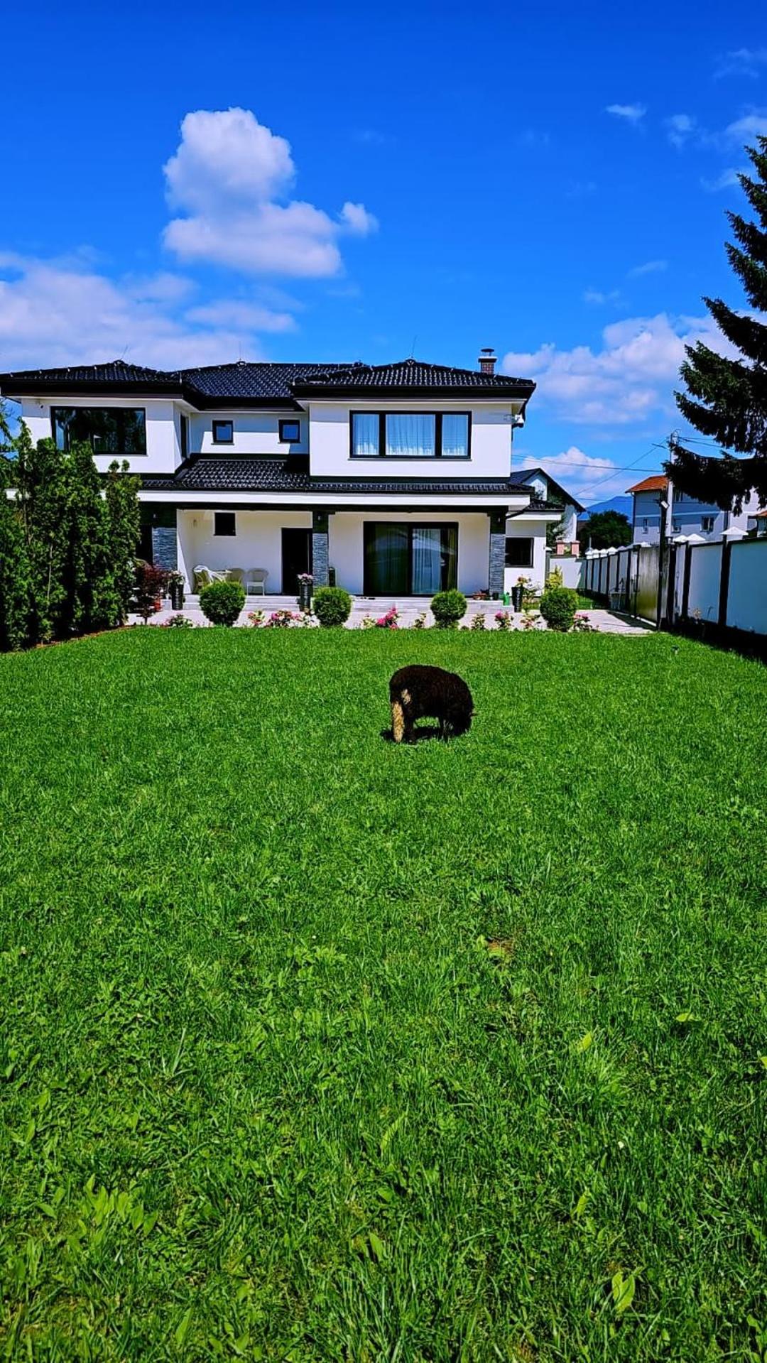 Villa Otes