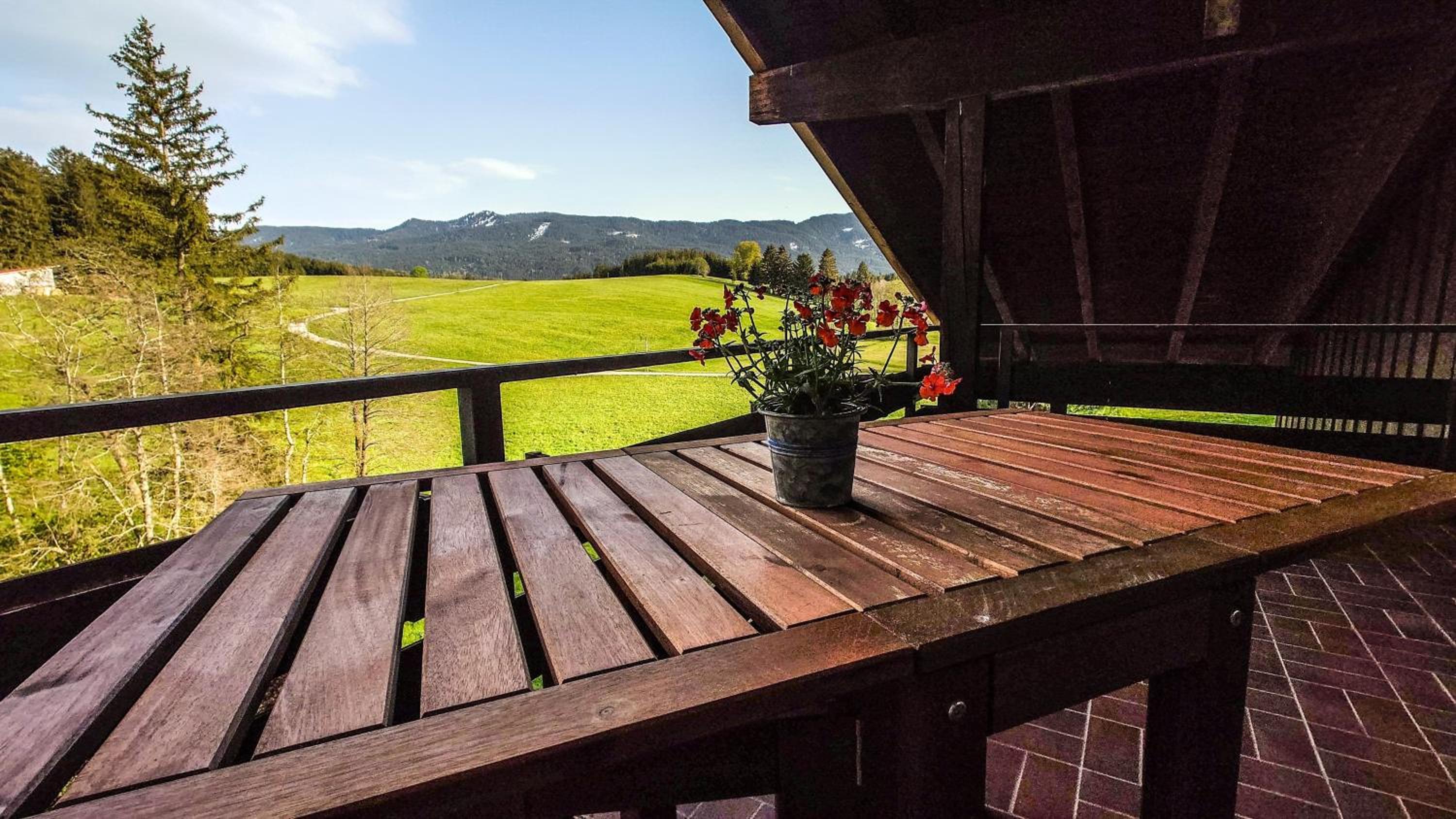 Appartement Hochwildfeuerberg