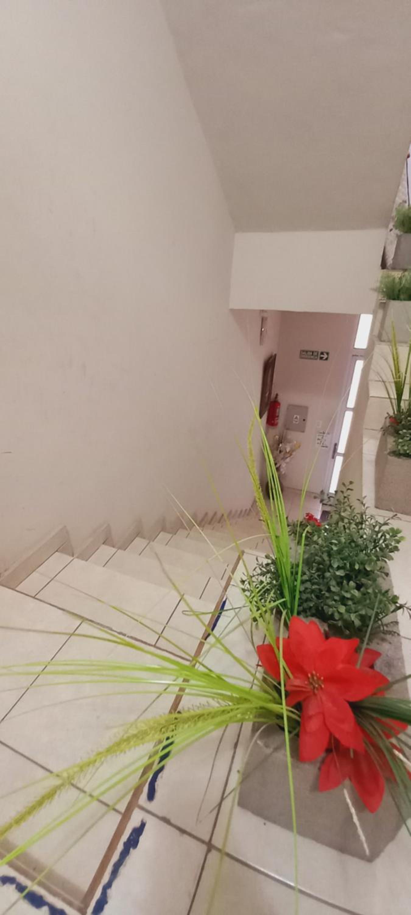 Apartamento Nilda