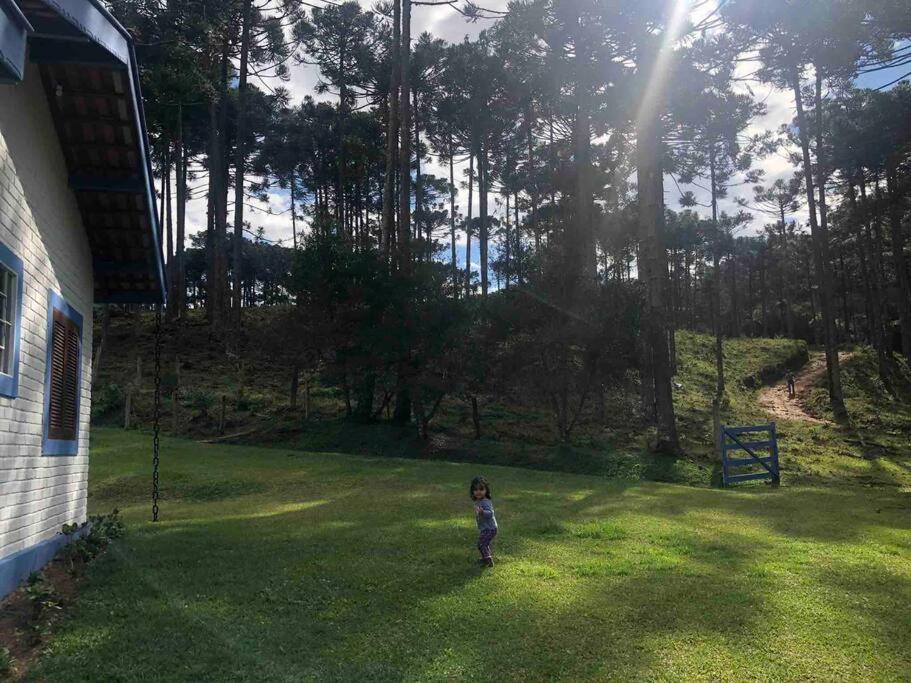 Cantinho da Bubu