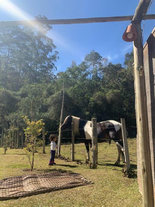 Cantinho da Bubu