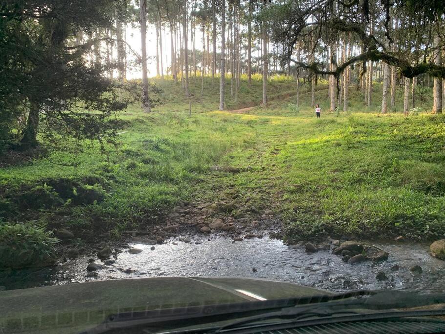 Cantinho da Bubu