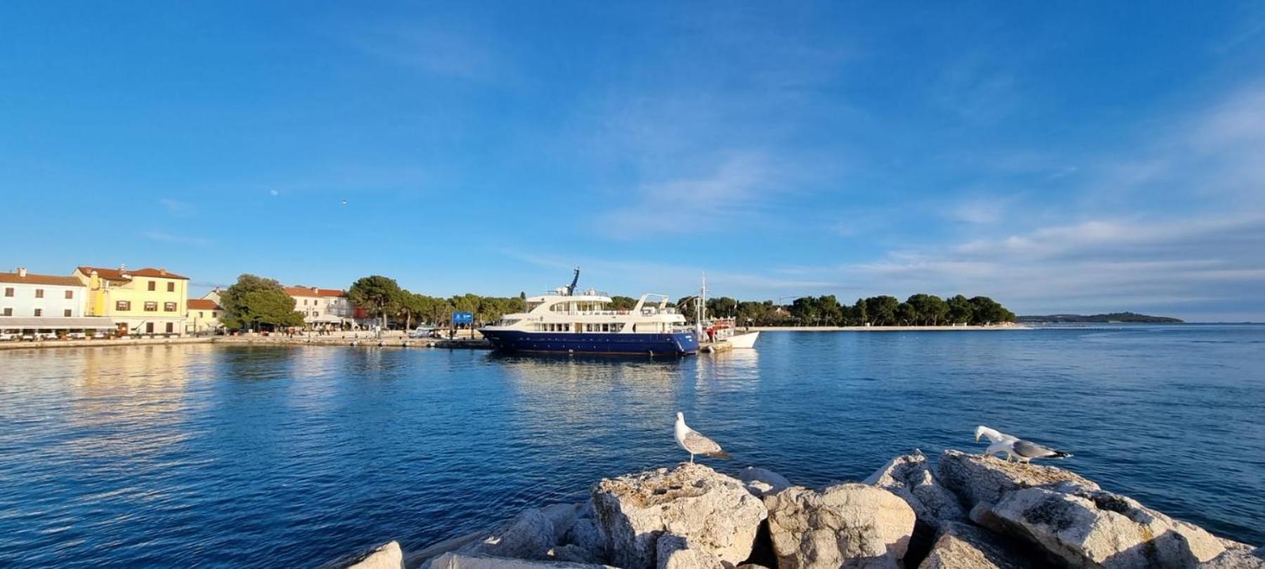 Istrian Blue Pearl