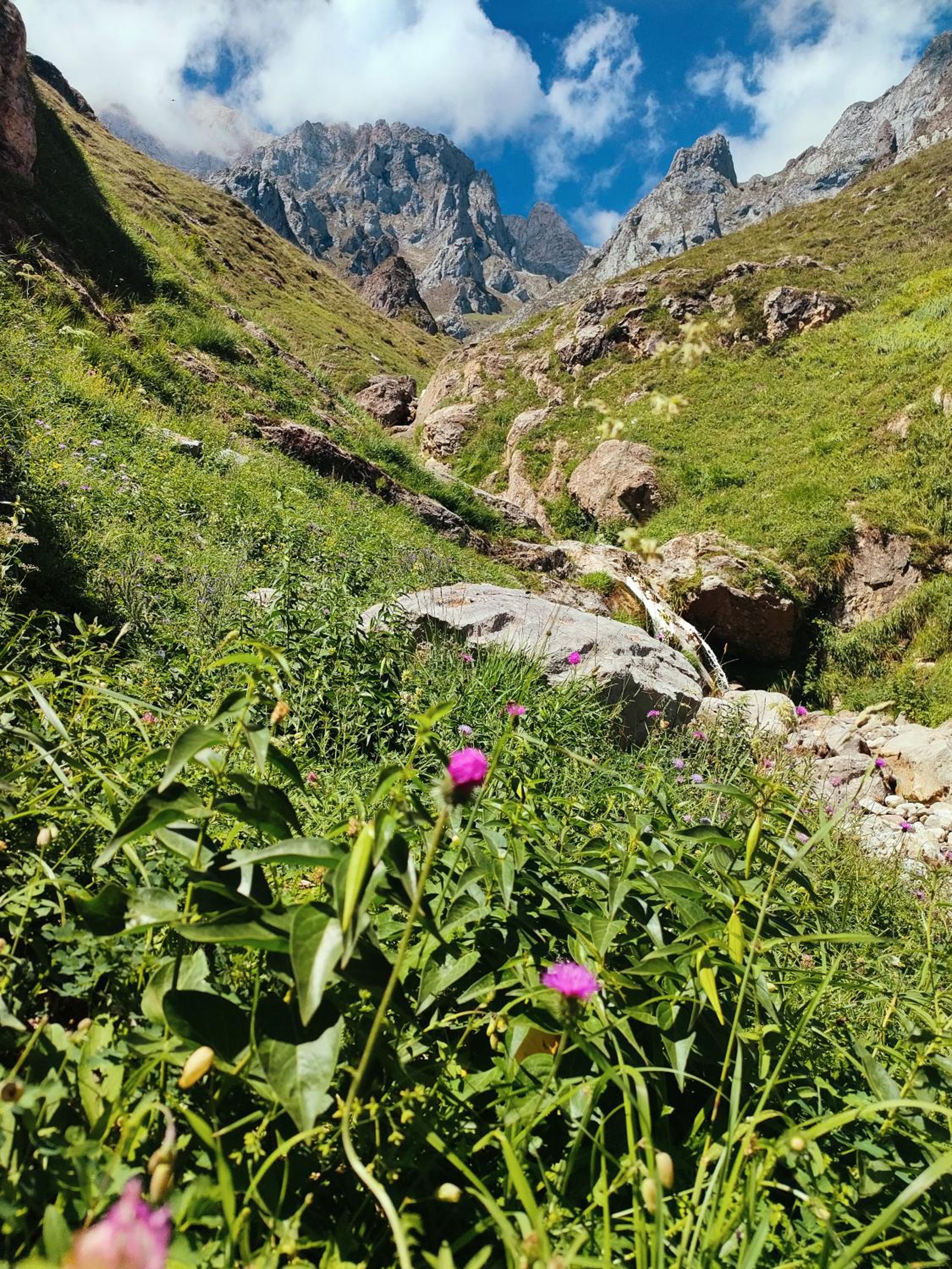 La Bohemia de Potes view 3