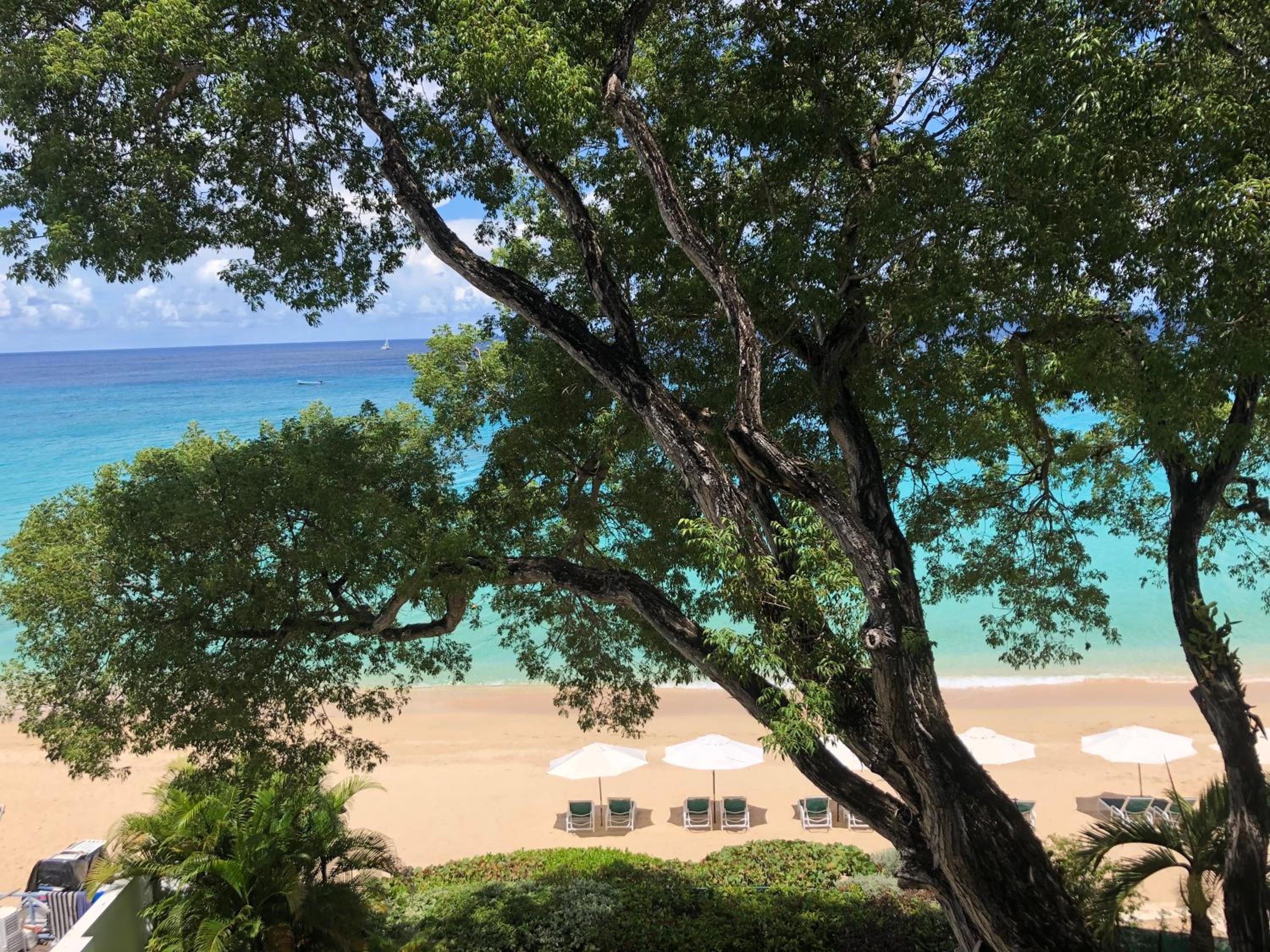 Coral Cove 10 Luxury Beachfront Condo