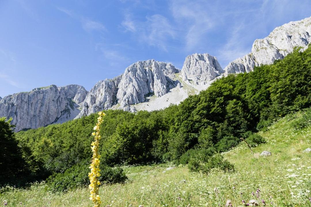 Casa Vacanze Lappe view 5