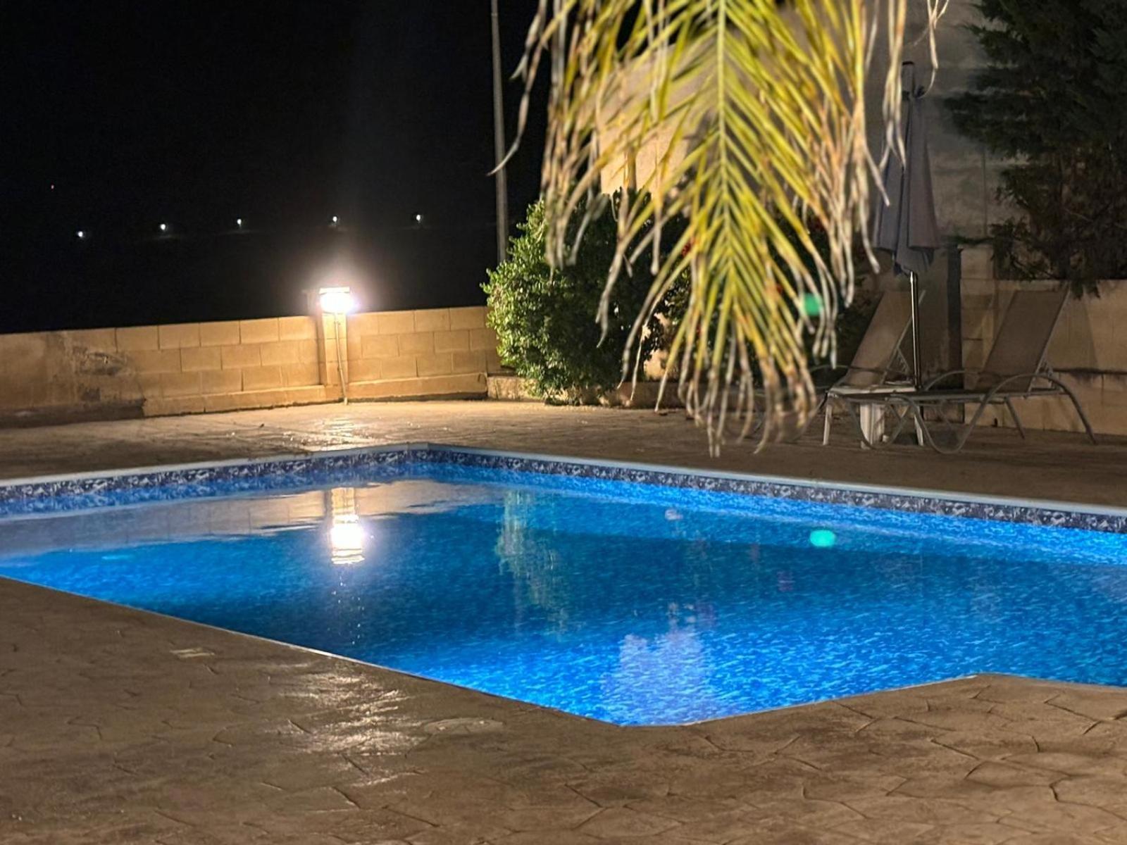 AFRODITI APARTMENTs — photo 4