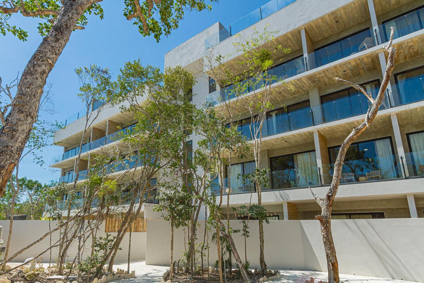 Sunny, Spacious & Amazing Amenities