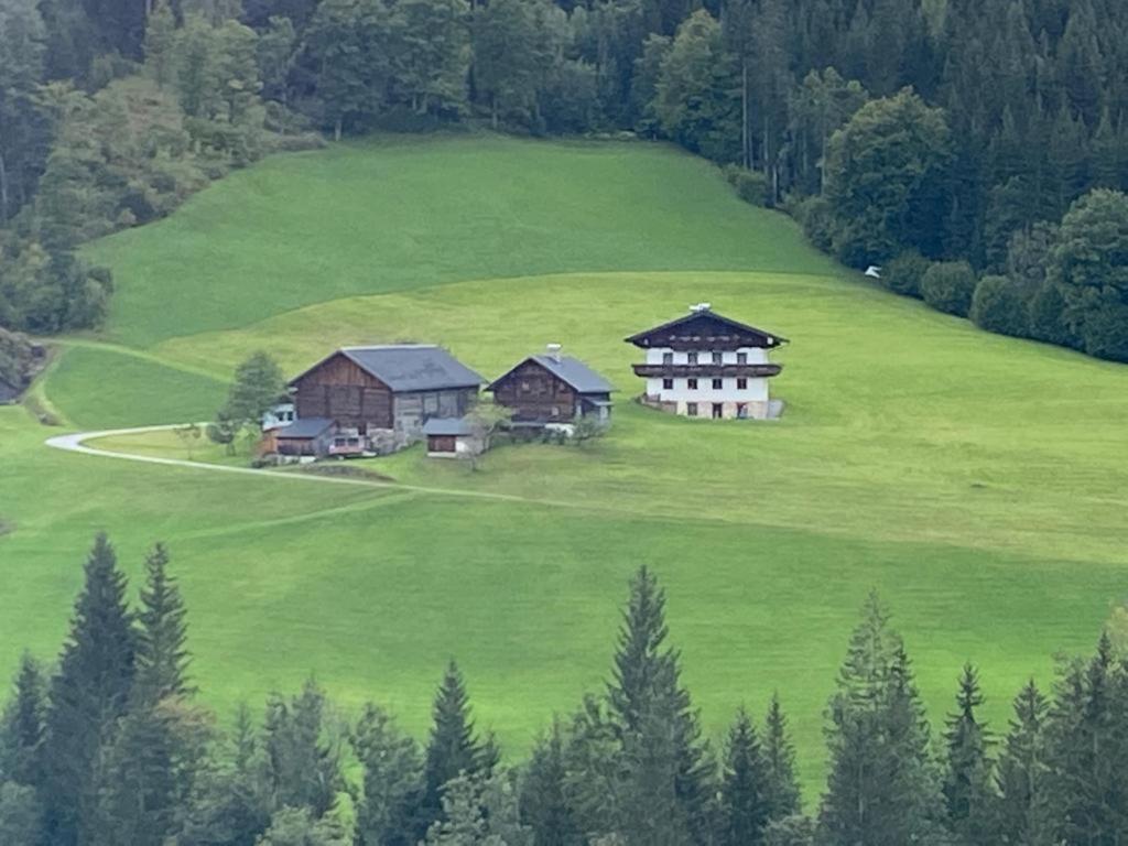 Luxus-Apartment-Vorderreit Gut