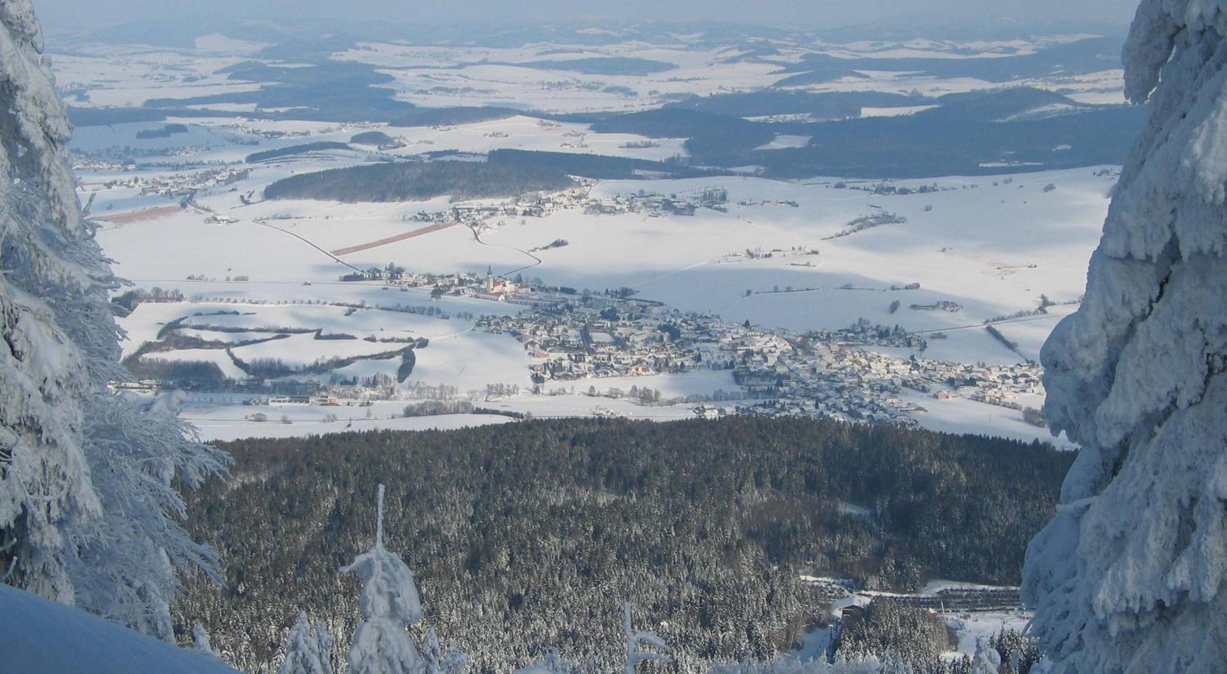 Schönblick Hohenbogen