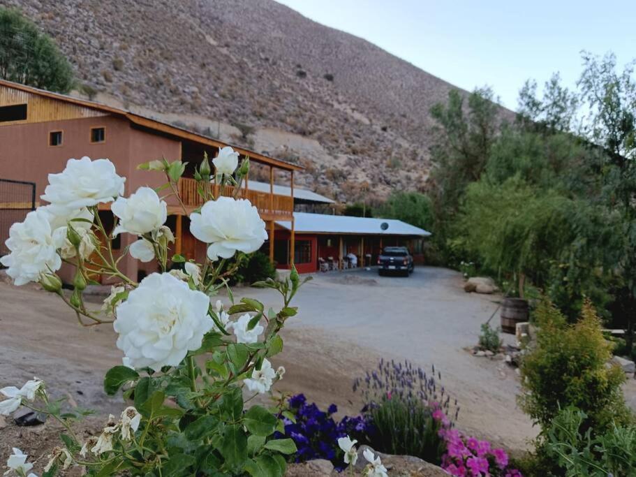 Cabaña Refugio Alta Cordillera Tulahuén 8 personas